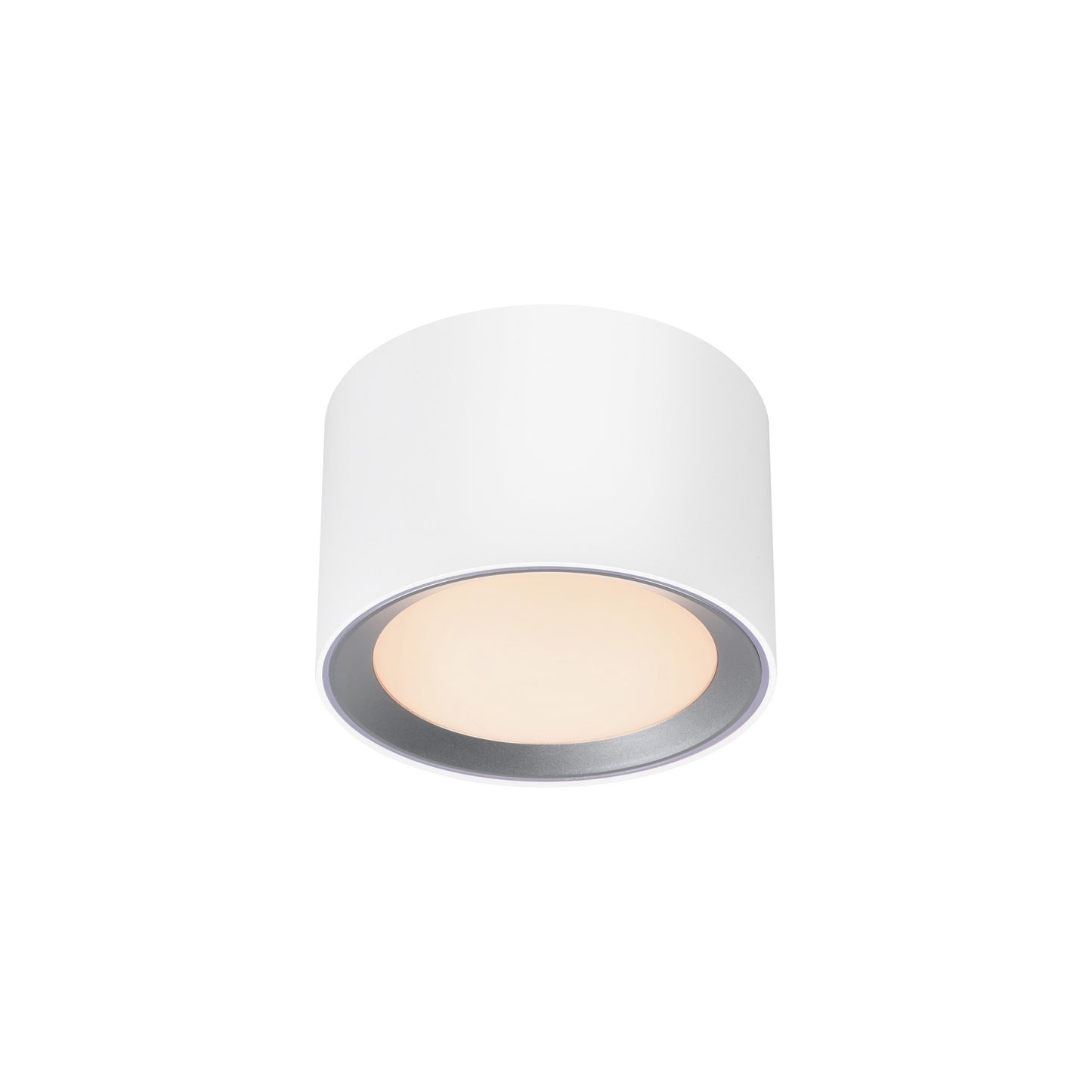 Landon Smart - Ceiling light