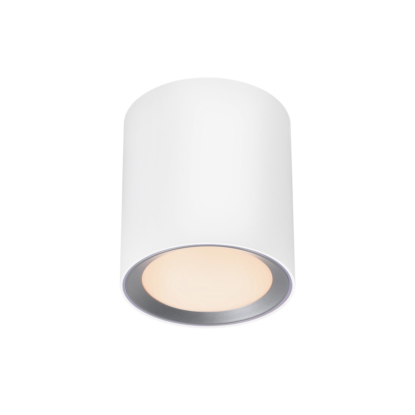 Landon Smart Long - Ceiling light