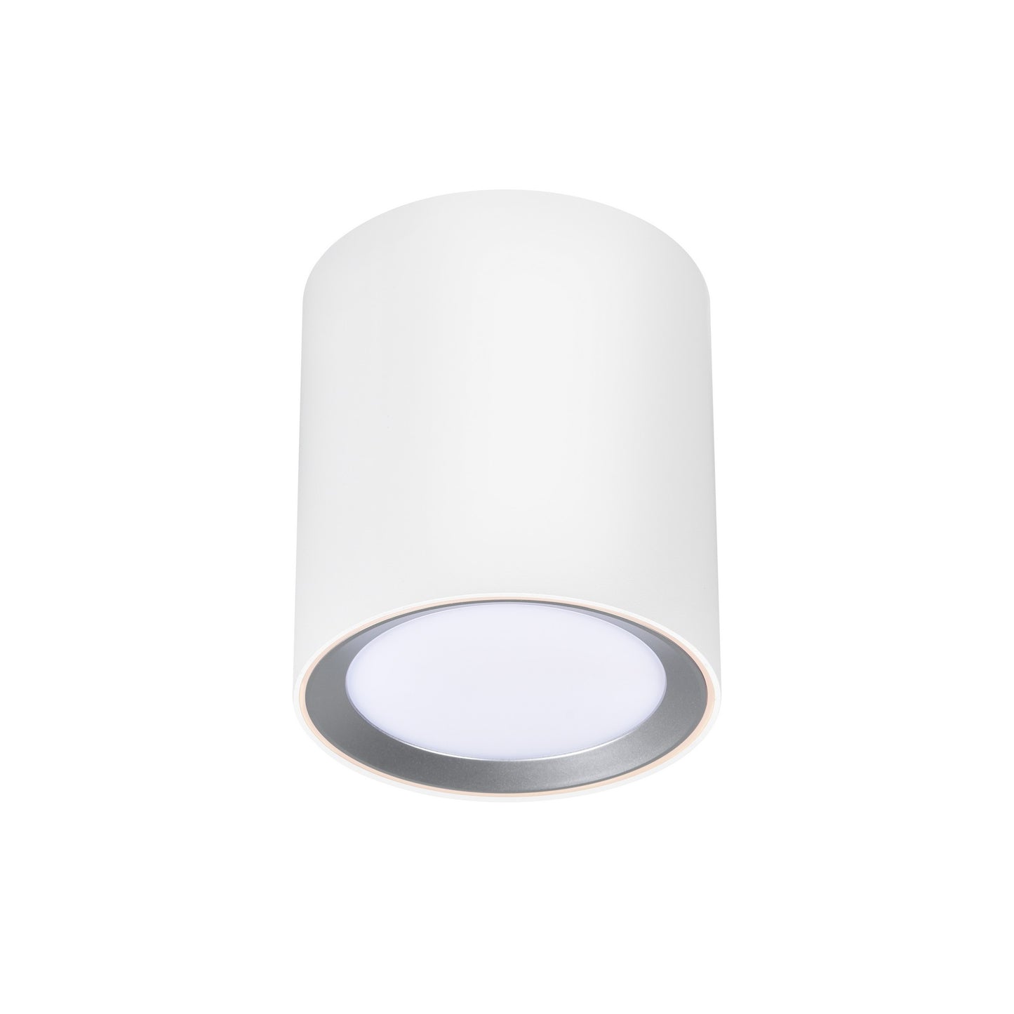 Landon Smart Long - Ceiling light