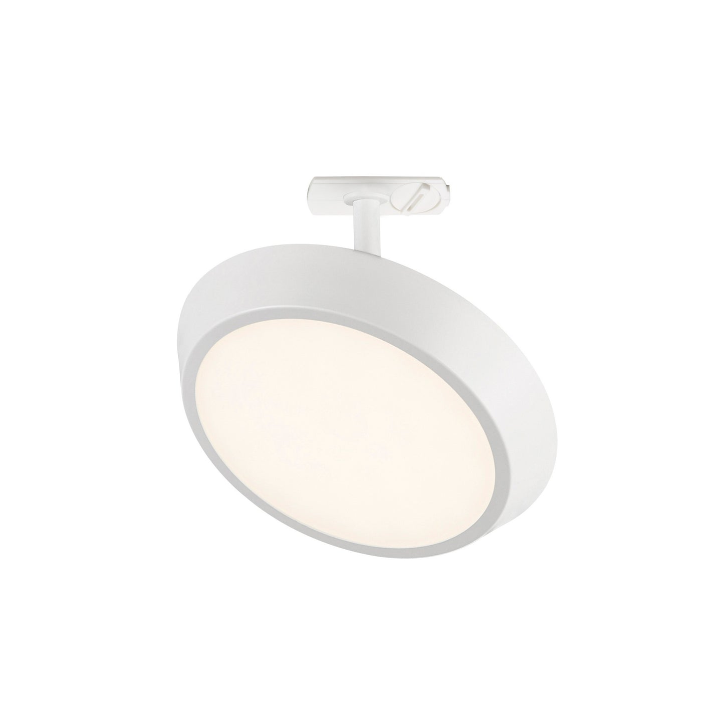 Diskie Link Spot - Track Light