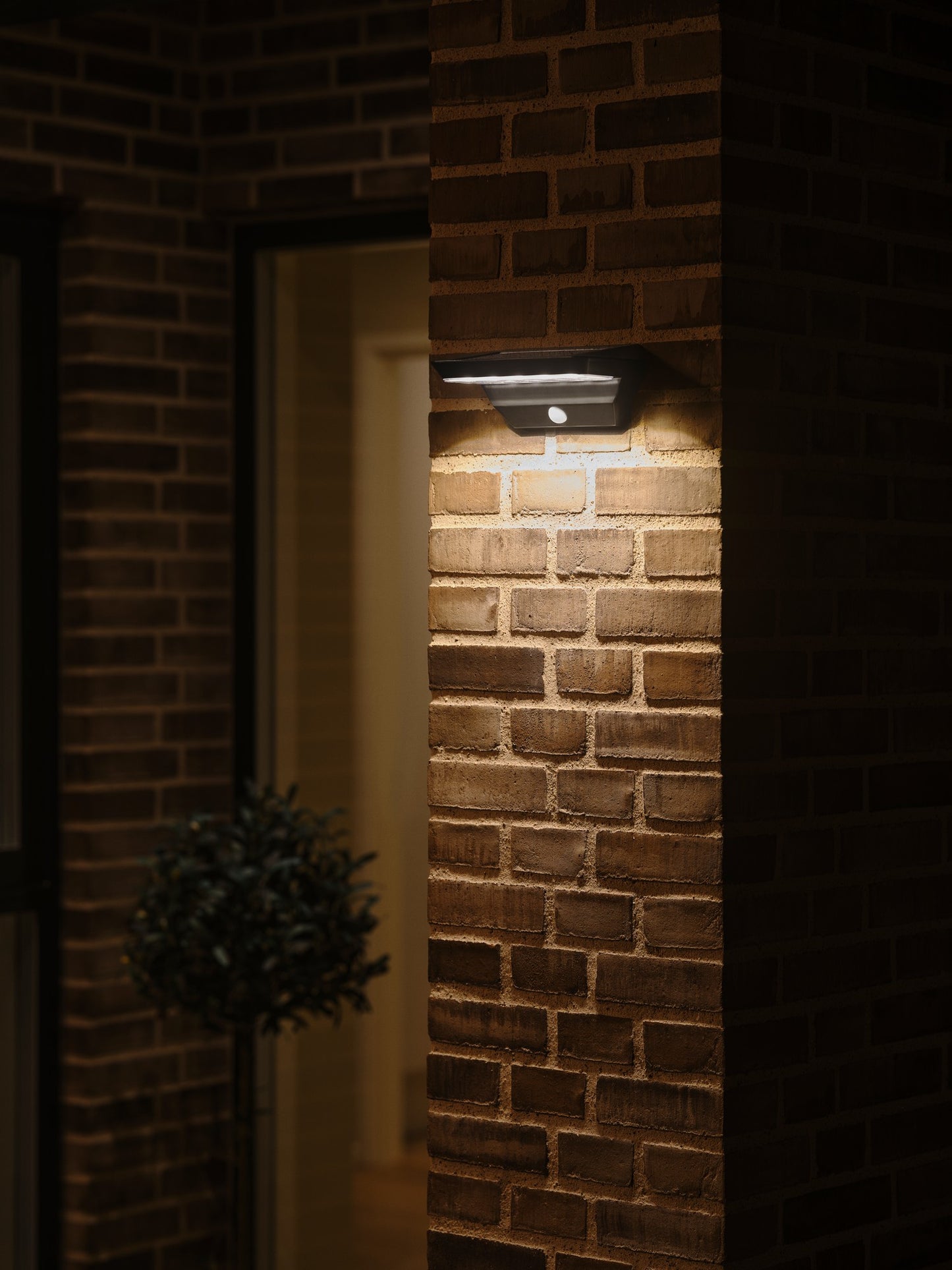 Agena Solar - Wall light