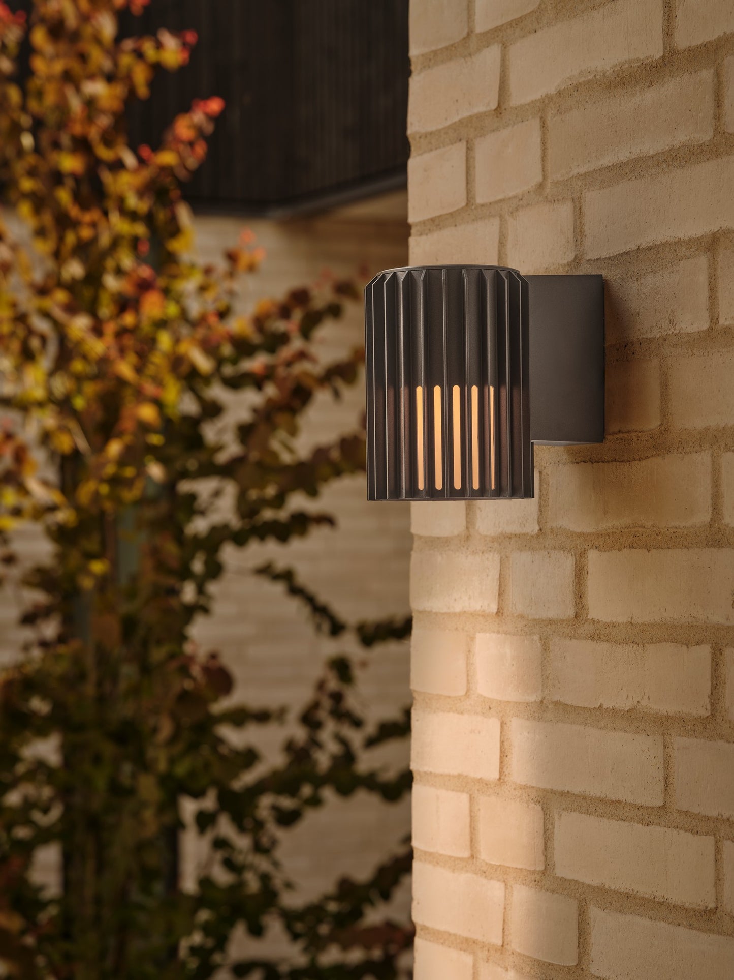 Aludra - Wall light