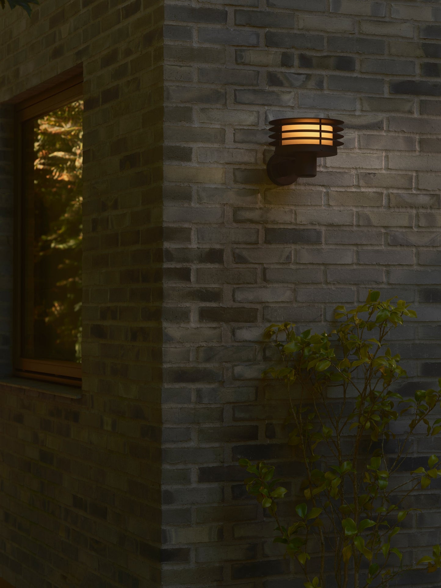 Cirella - Wall light