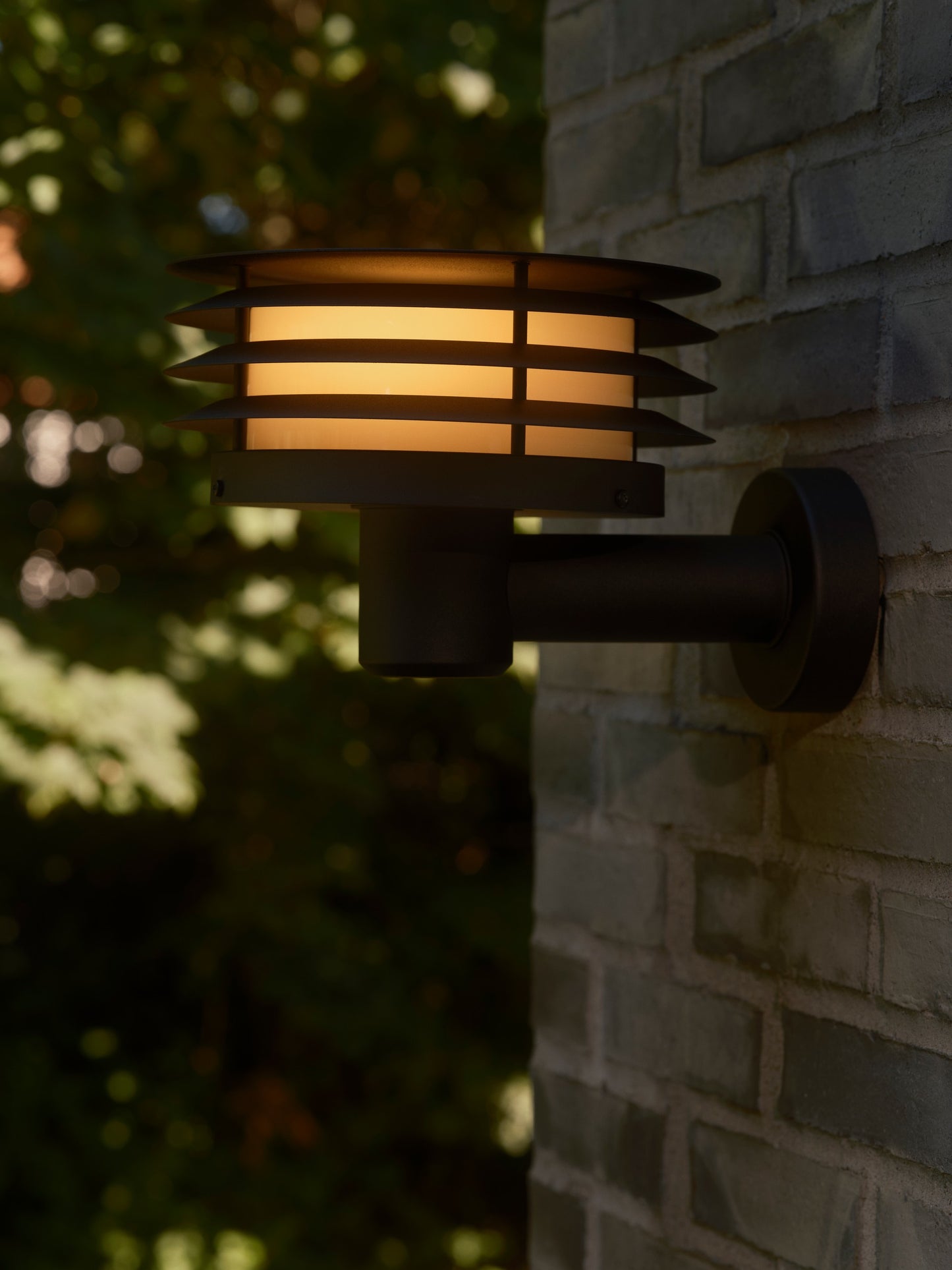 Cirella - Wall light
