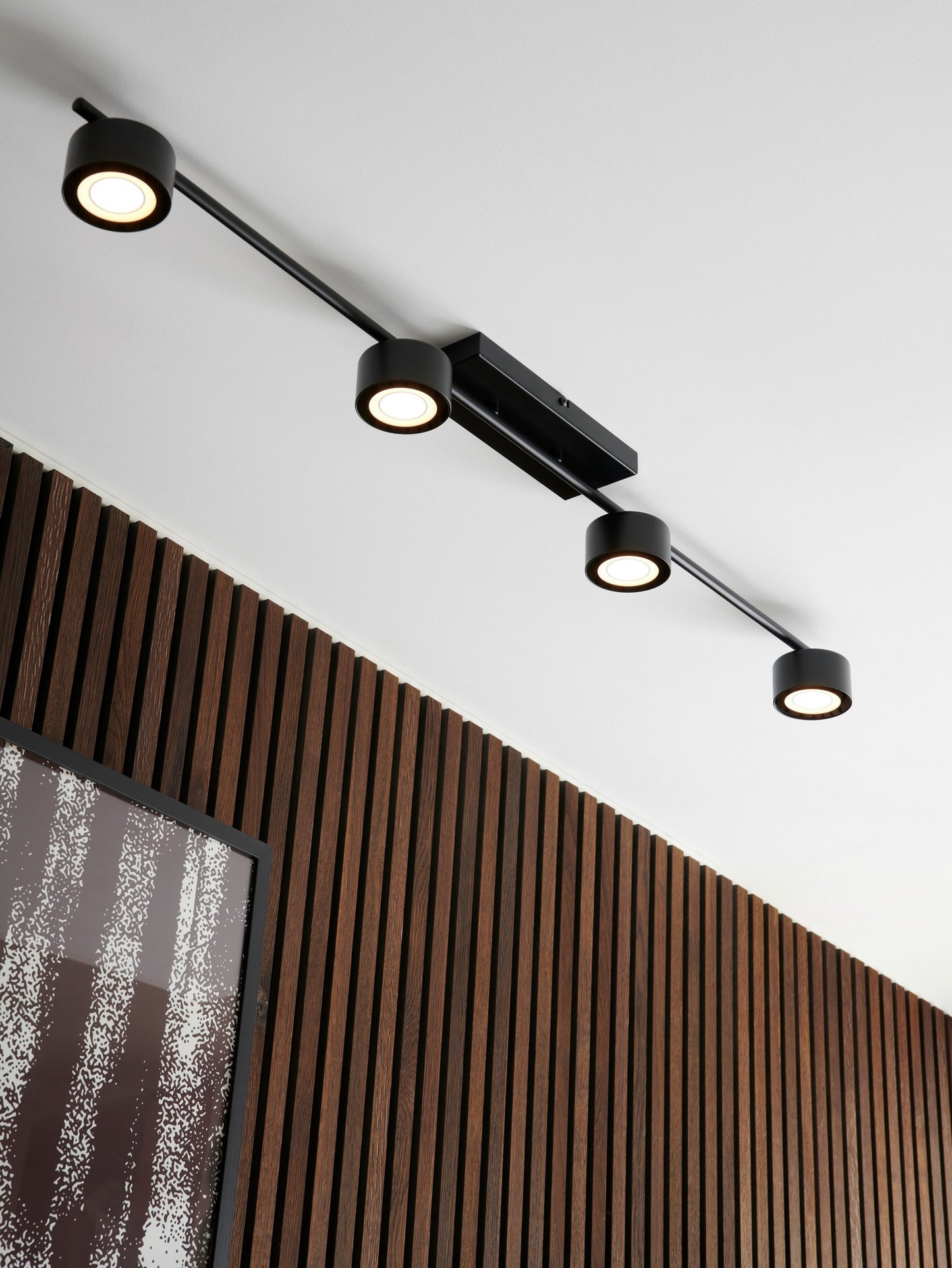 Clyde 4-Rail - Spot light