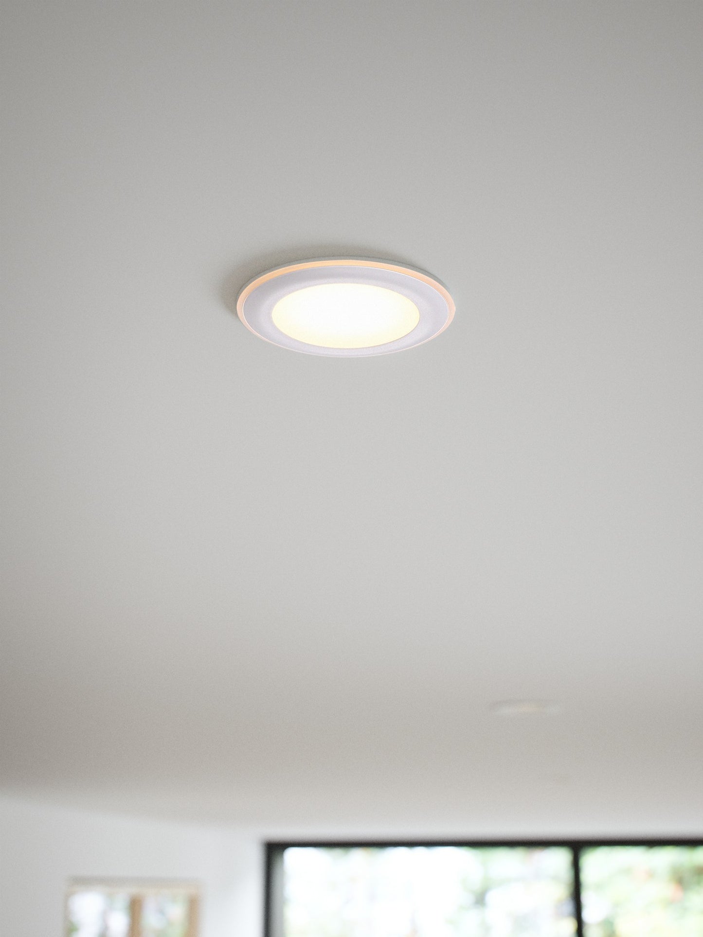 Elkton 8 - Downlight