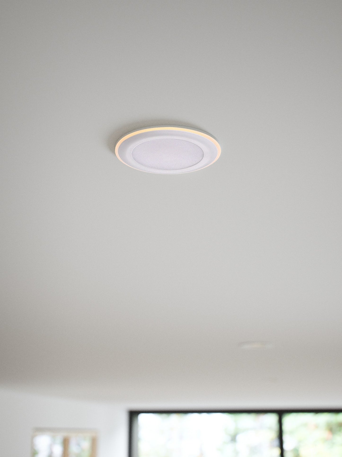 Elkton 8 - Downlight