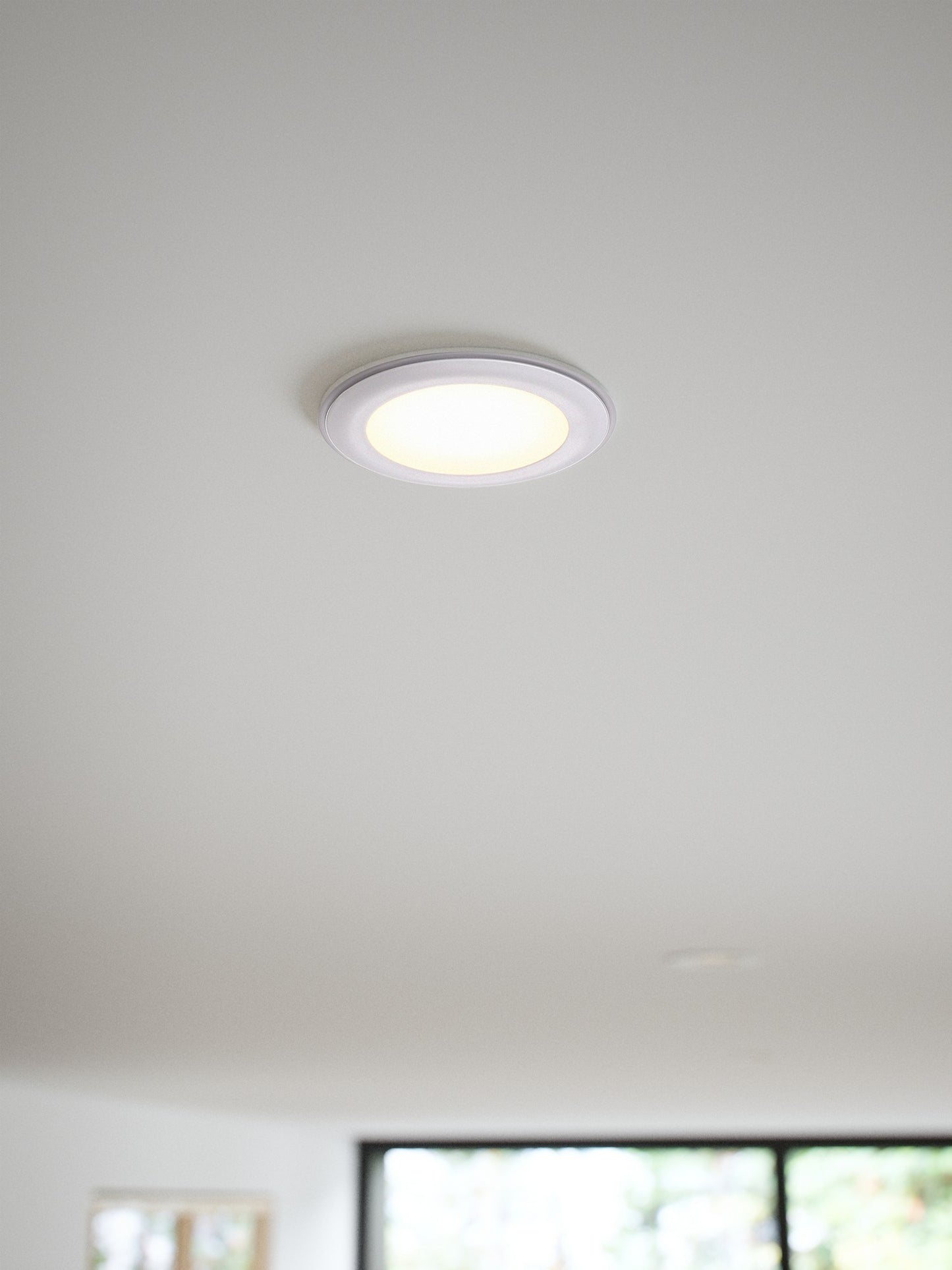 Elkton 8 - Downlight
