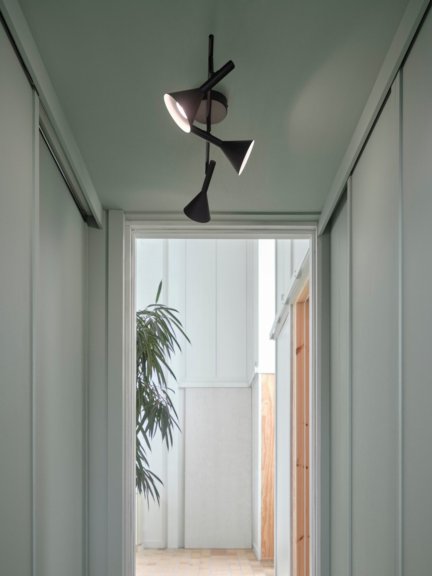 Kelvis 3-Spot - Spot light