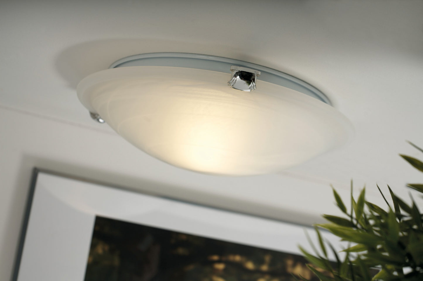 Petri - Ceiling light