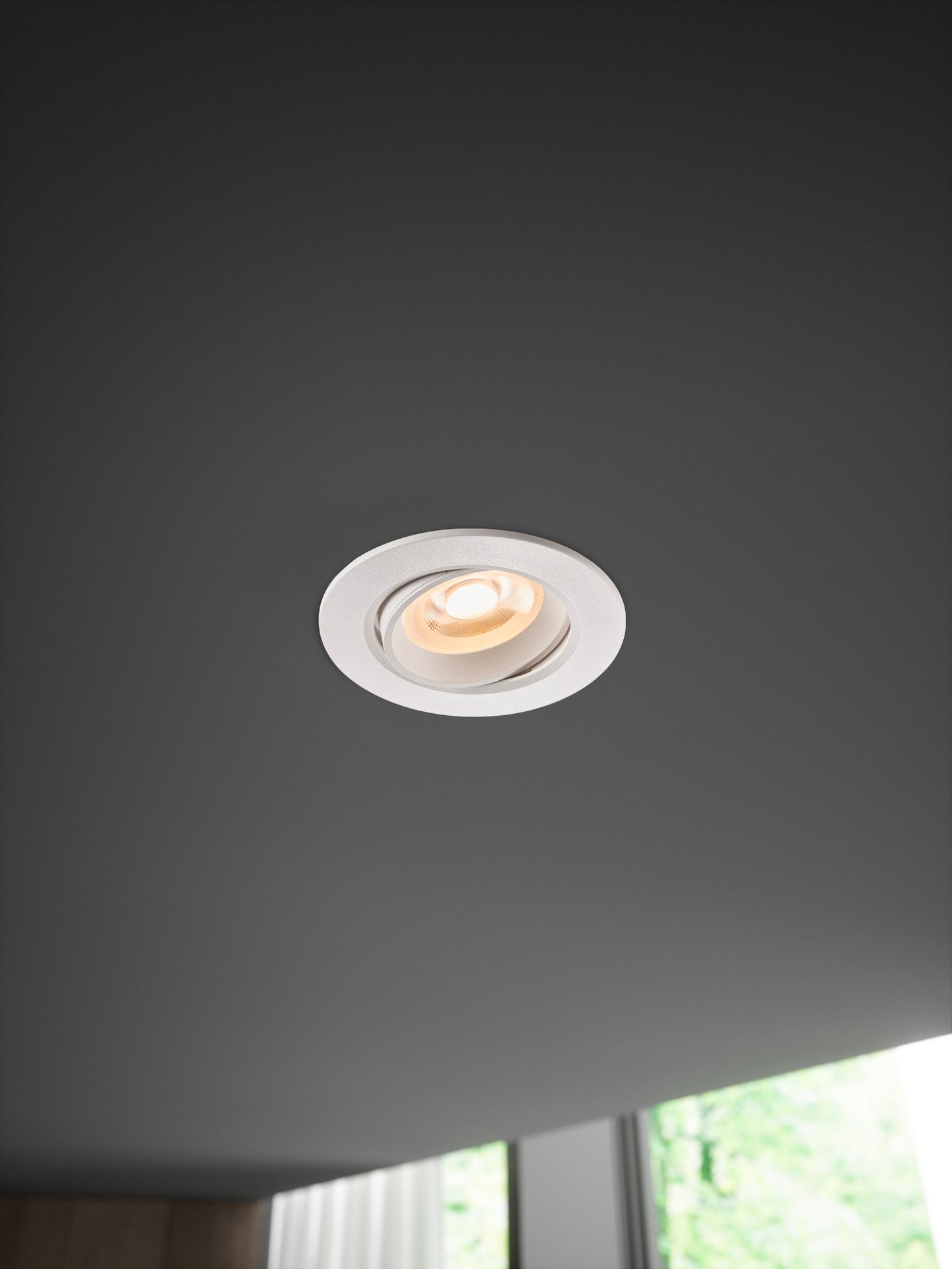 Roar - Downlight