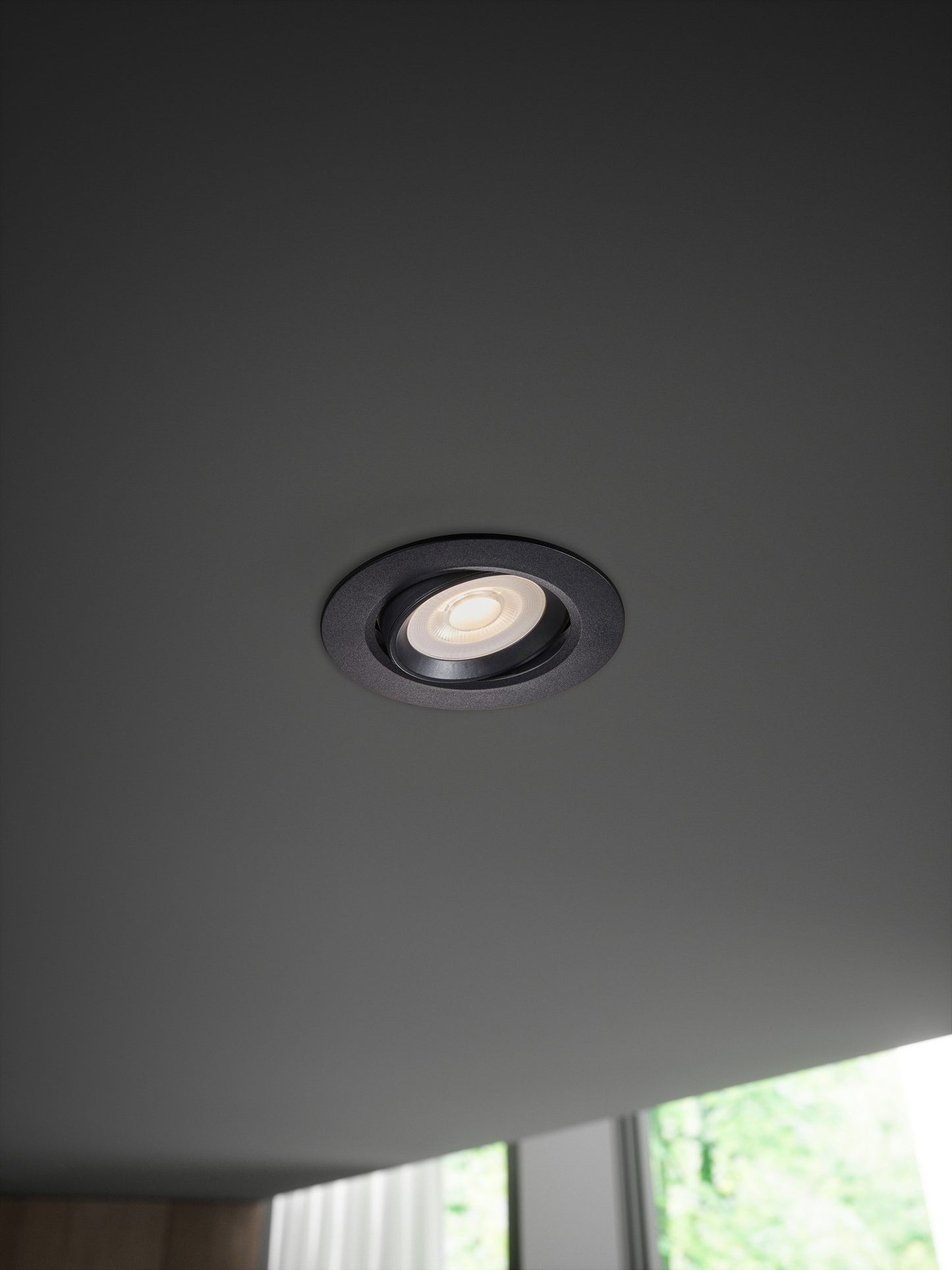 Roar - Downlight