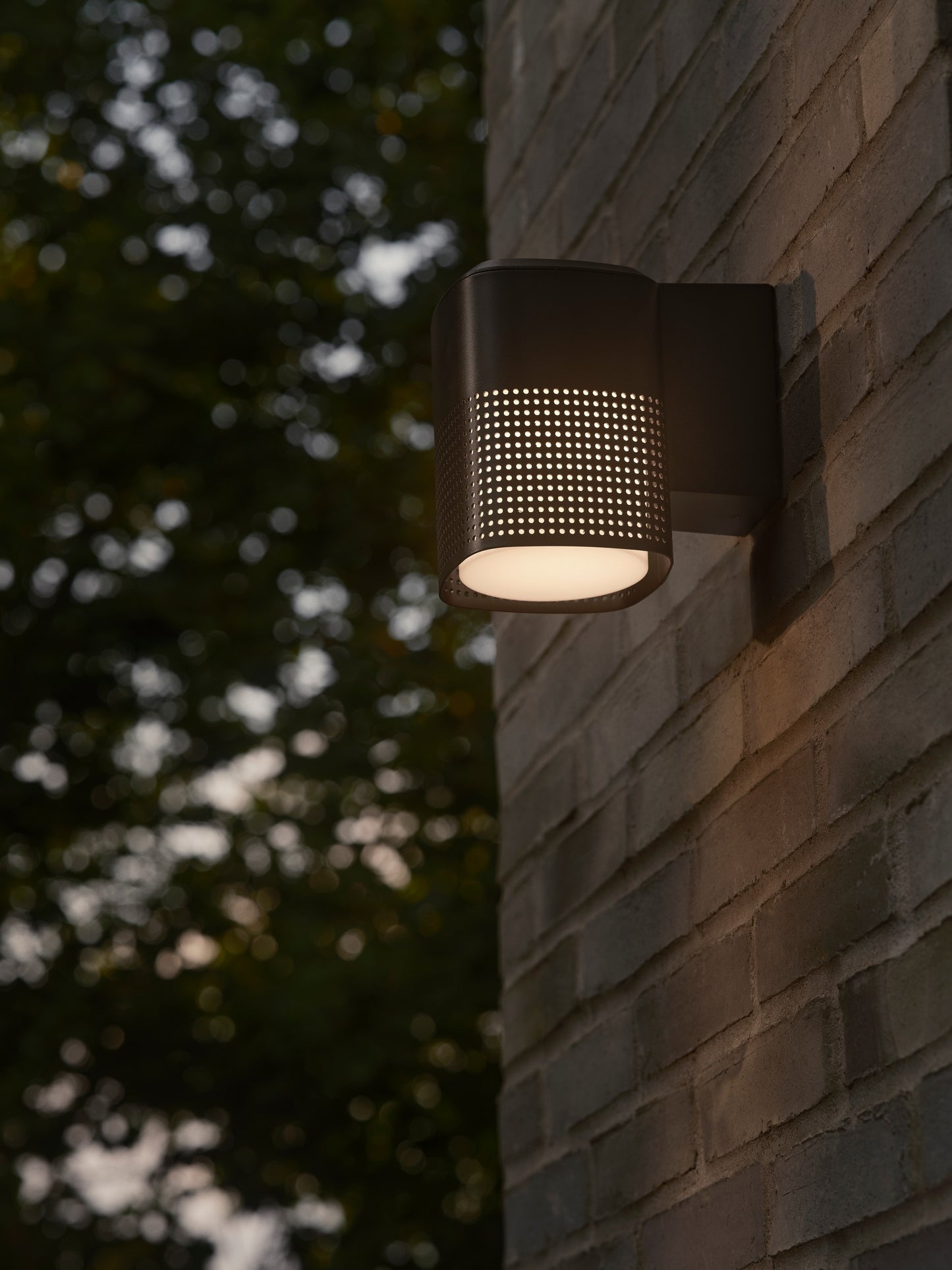 Sidara - Wall light