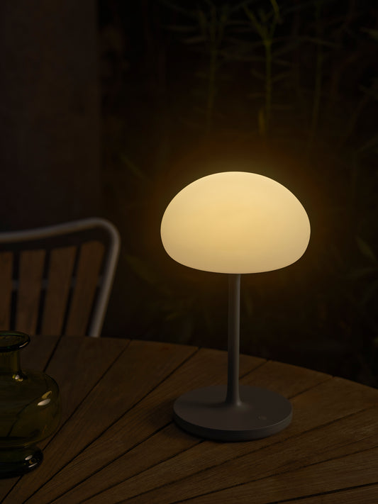 Sponge On A Stick - Battery light