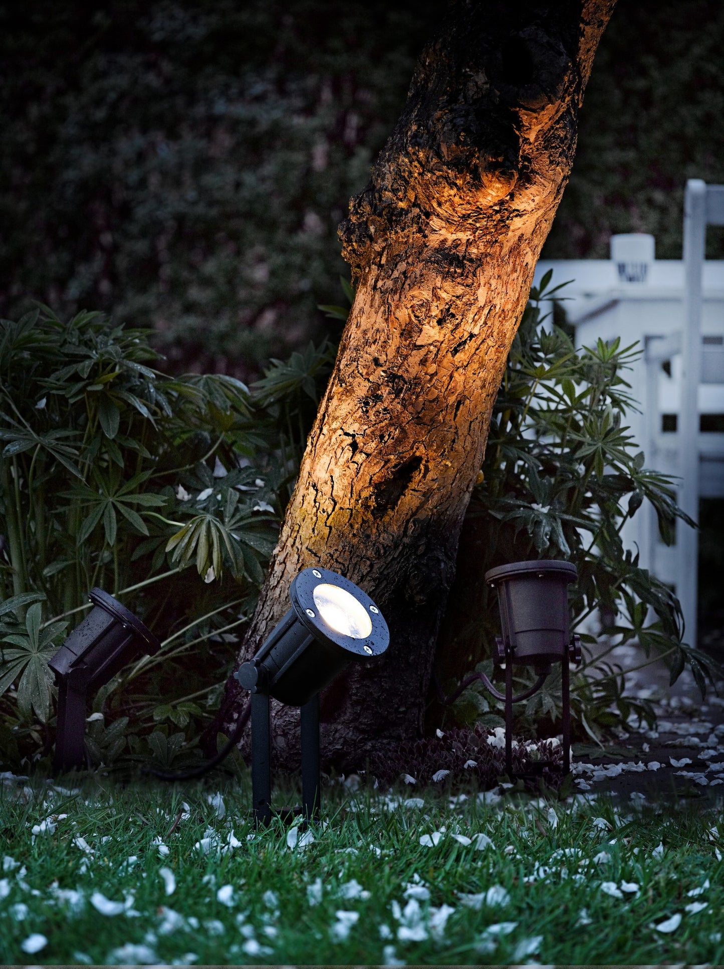 Spotlight Gu10 - Spot light