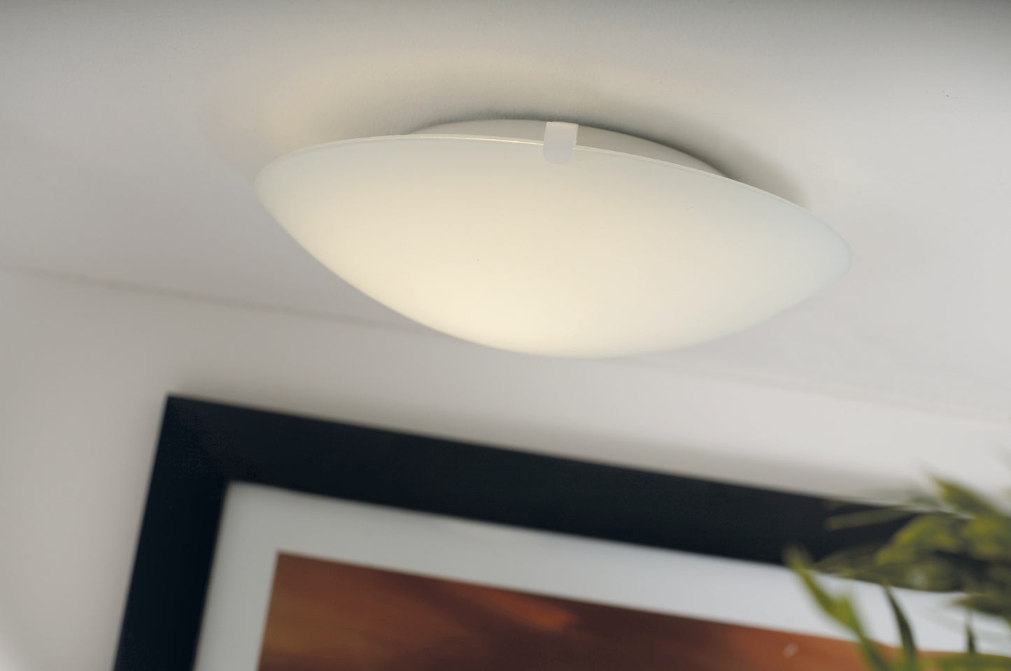 Standard - Ceiling light