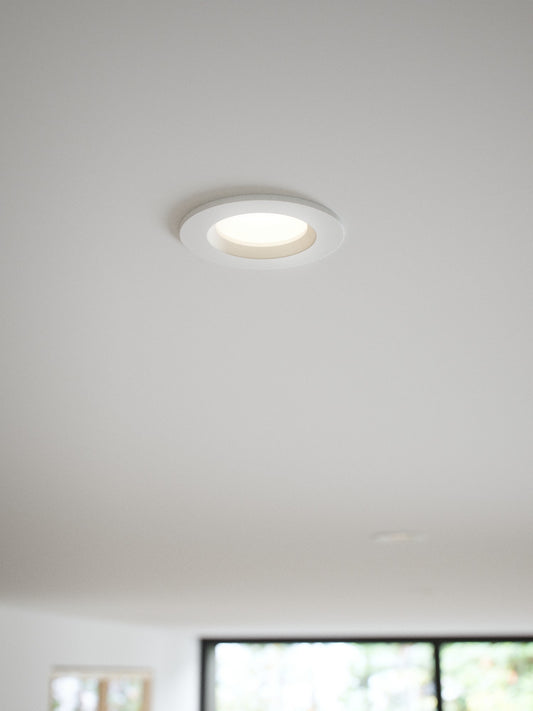 Tiaki - Downlight