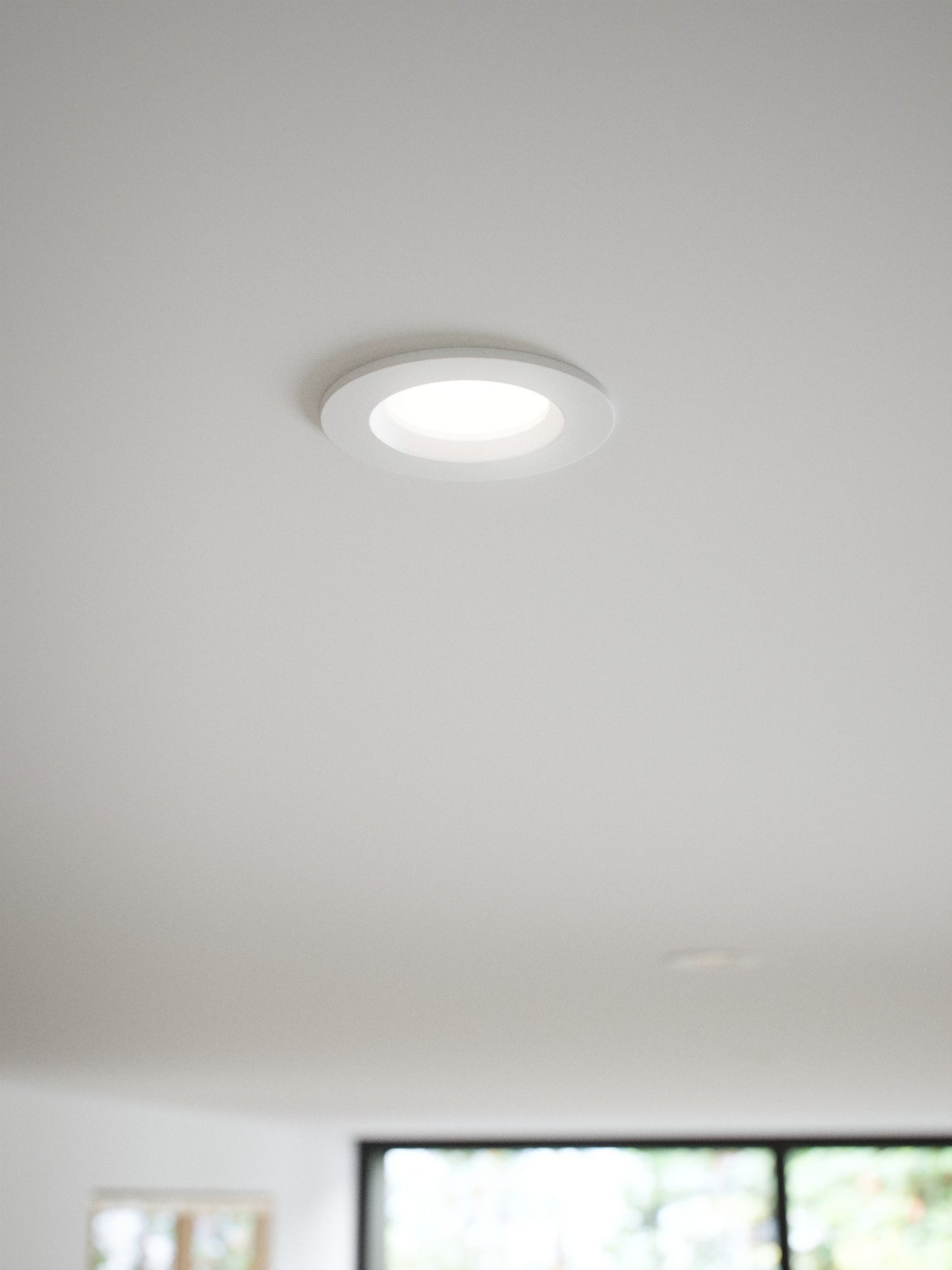 Tiaki - Downlight