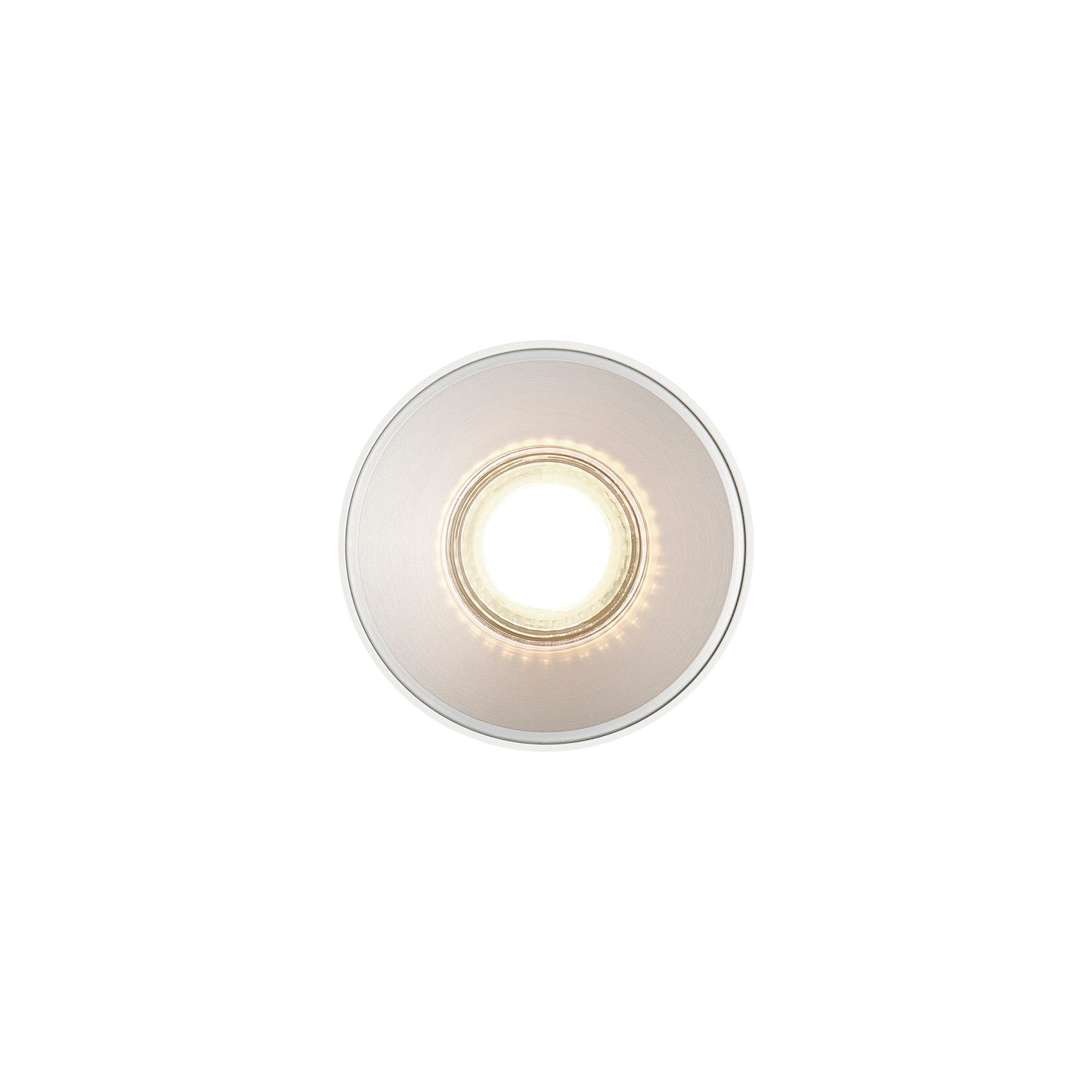 Pitcher - Spot light
