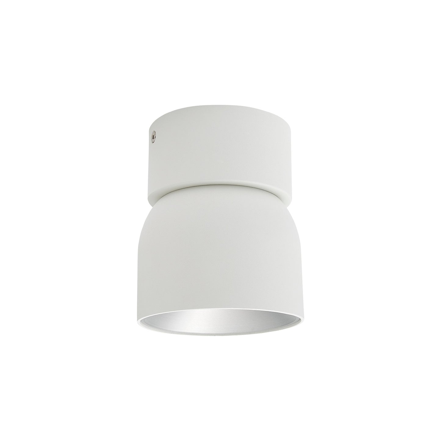 Pitcher - Spot light