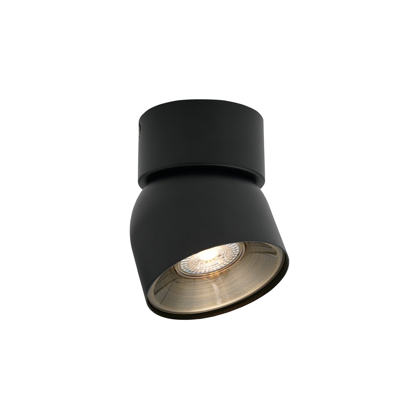 Pitcher - Spot light