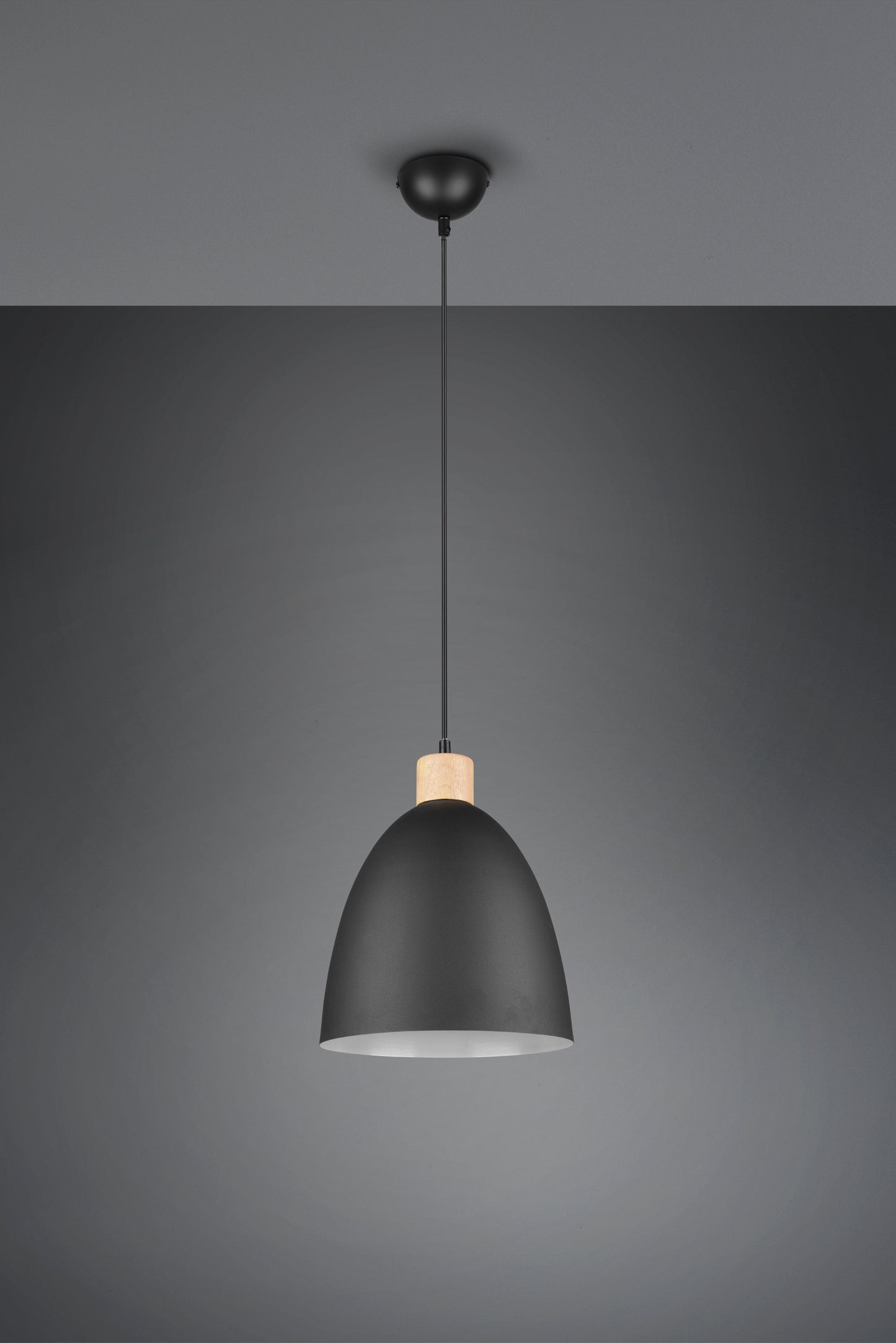 Jagger  - Pendant - Black Matt - Reality