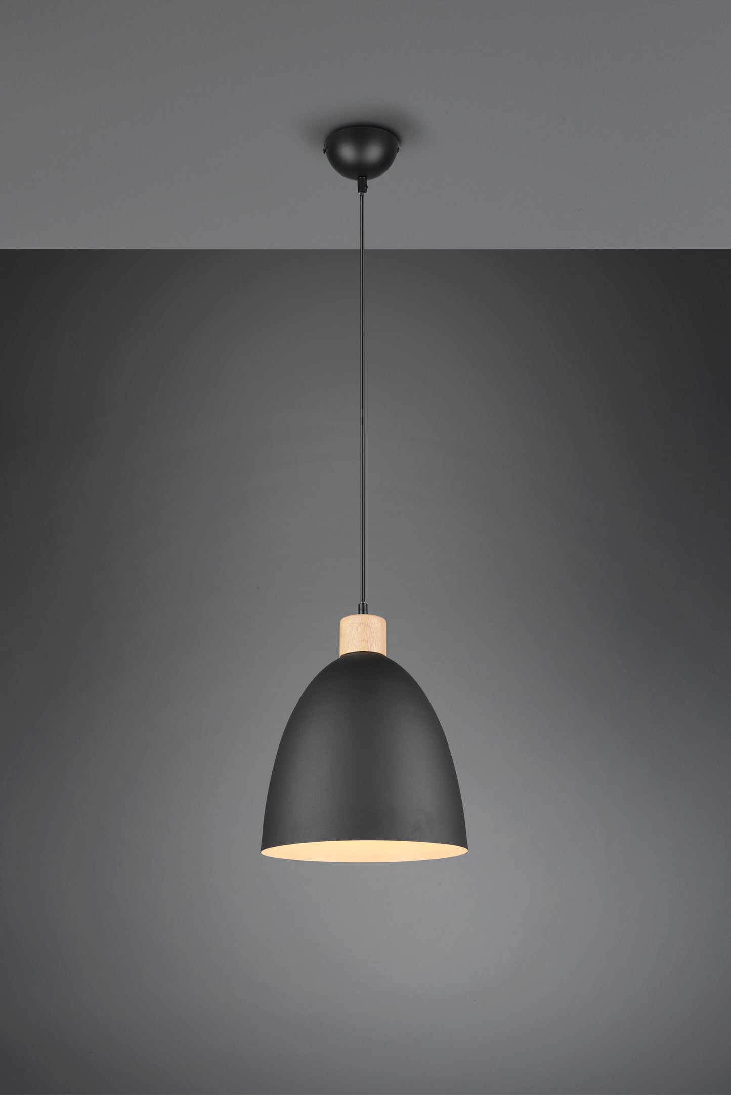 Jagger  - Pendant - Black Matt - Reality