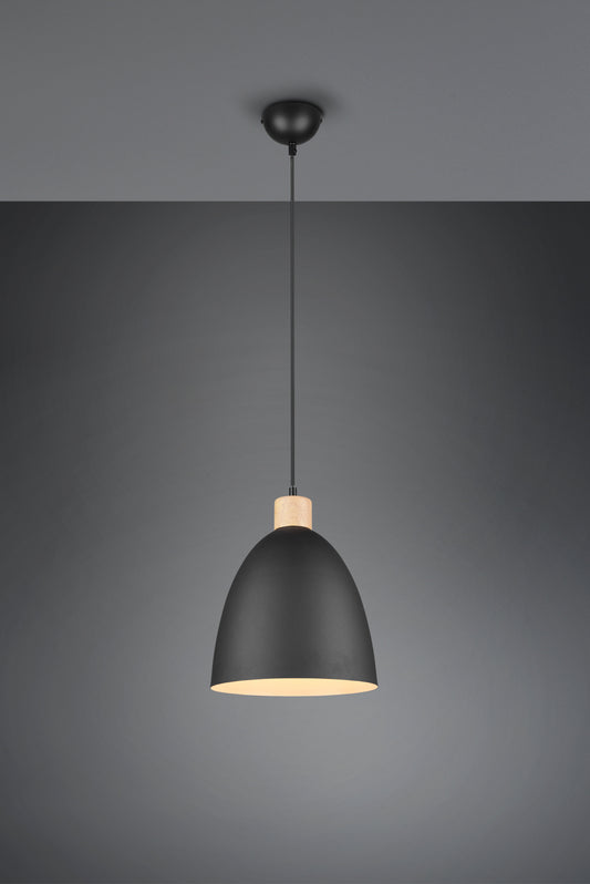 Jagger  - Pendant - Black Matt - Reality