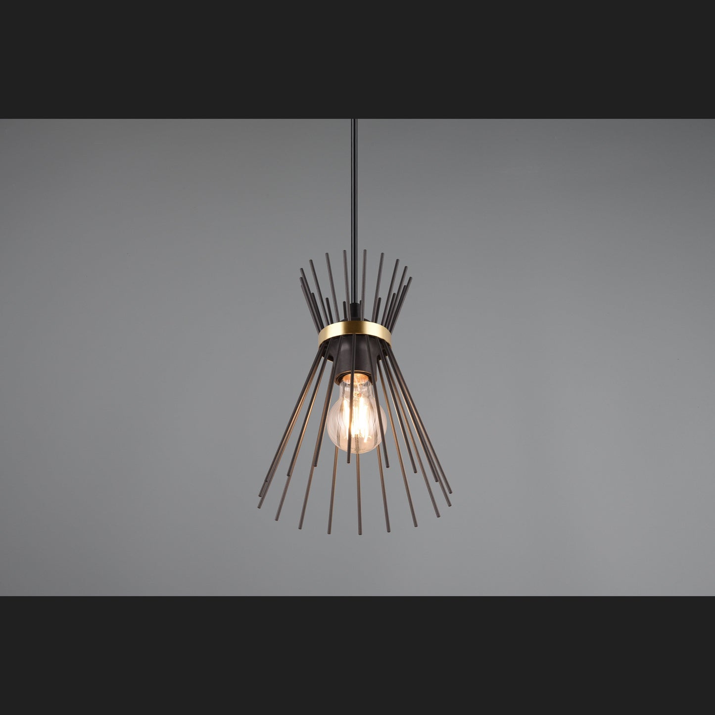 Rod  - Pendant - Black - Gold - Reality