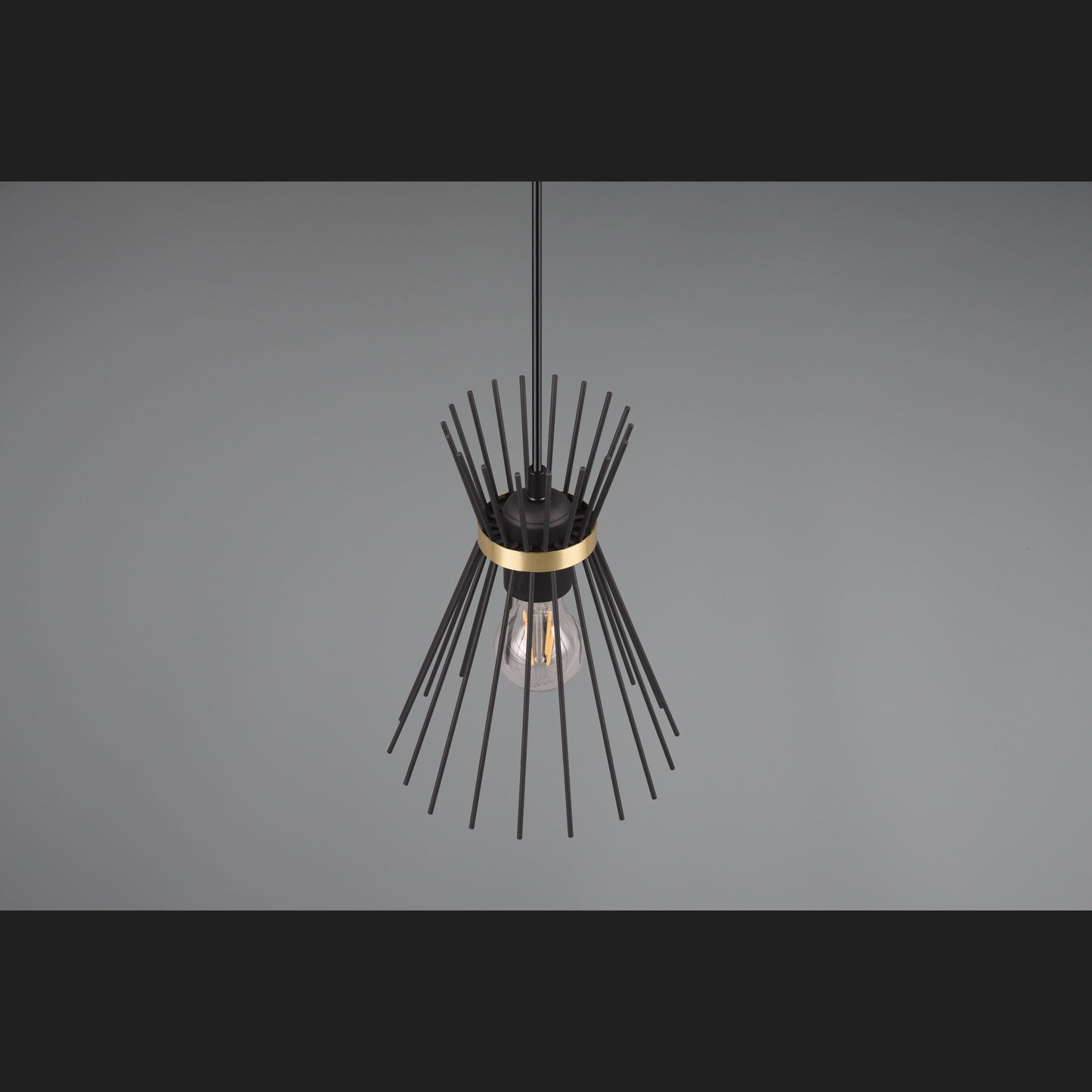 Rod  - Pendant - Black - Gold - Reality