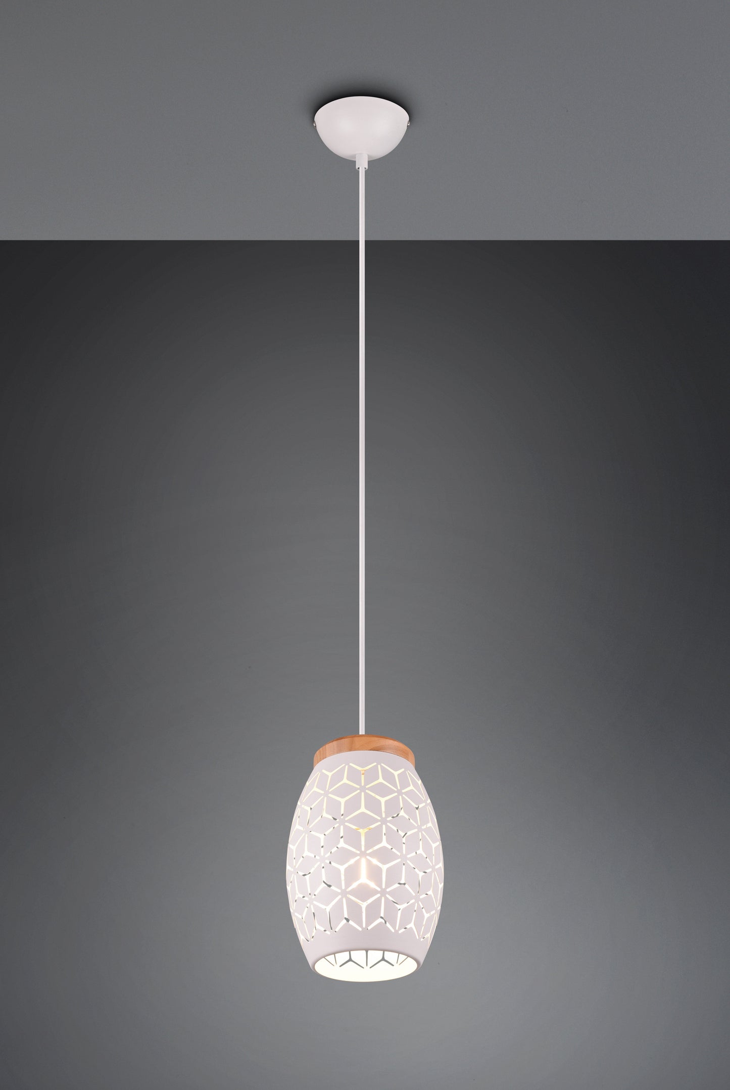 Bidar  - Pendant - White Matt - Reality