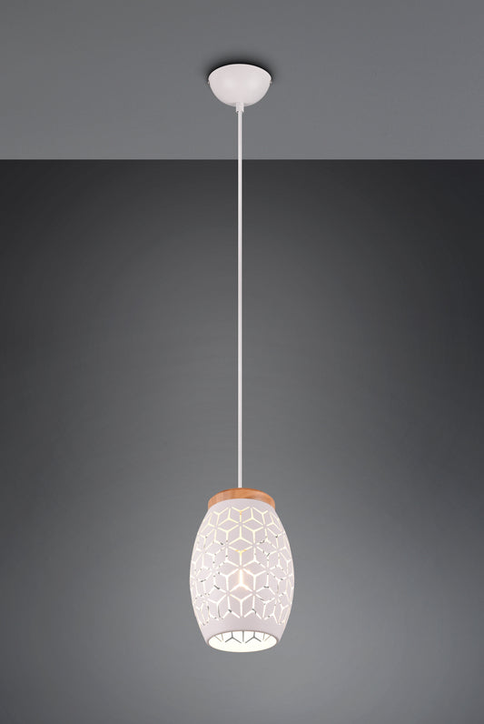 Bidar  - Pendant - White Matt - Reality