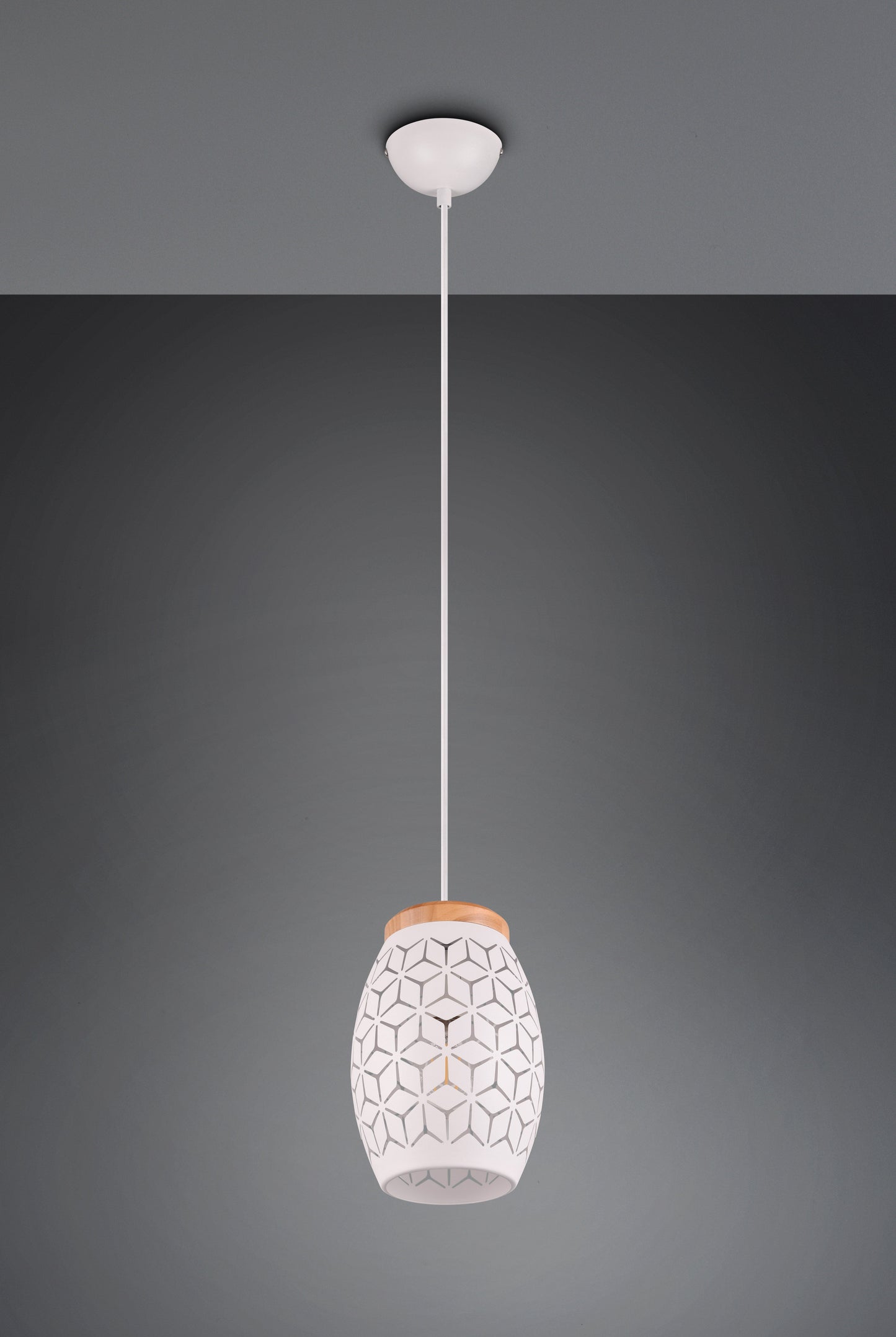 Bidar  - Pendant - White Matt - Reality