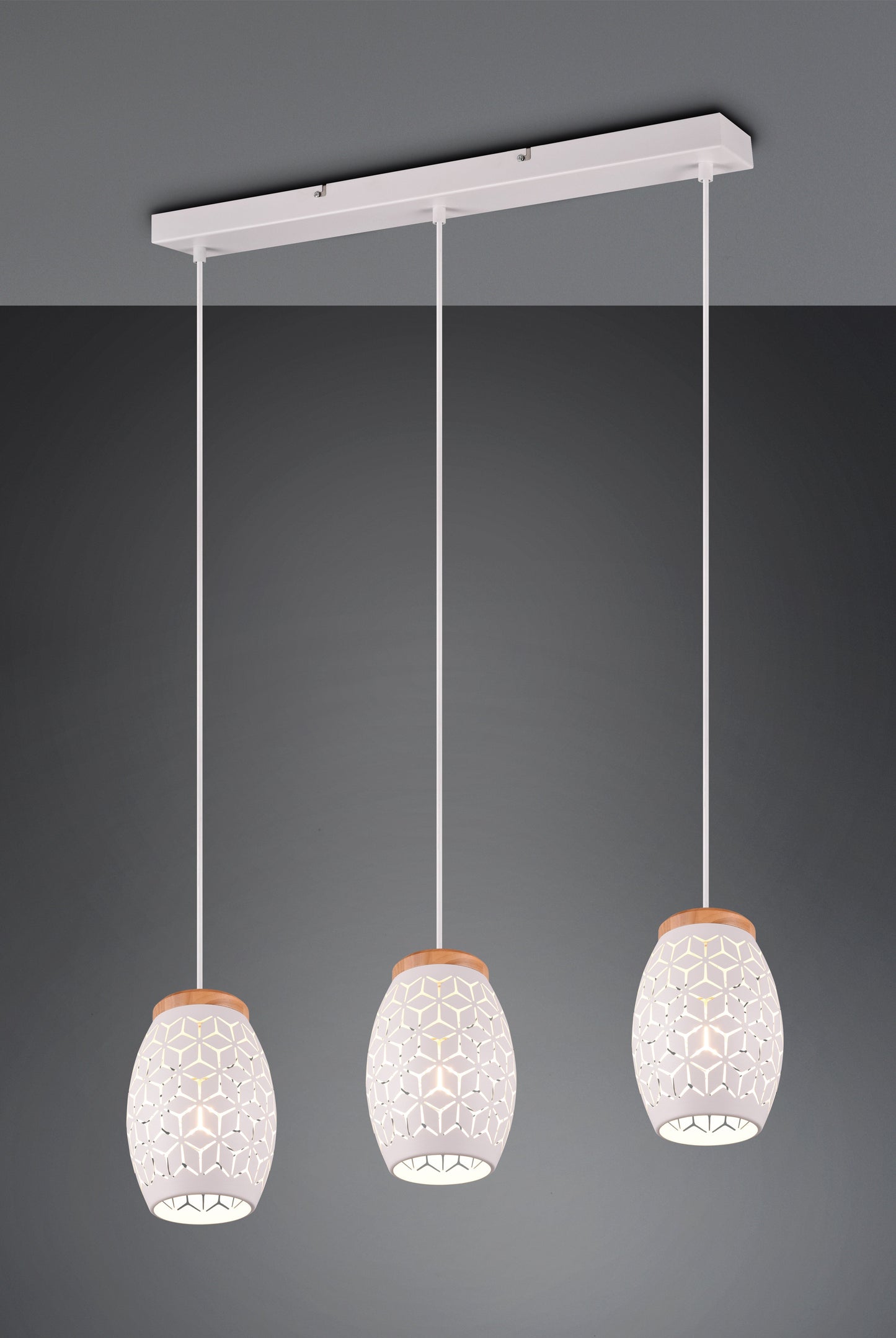 Bidar  - Pendant - White Matt - Reality