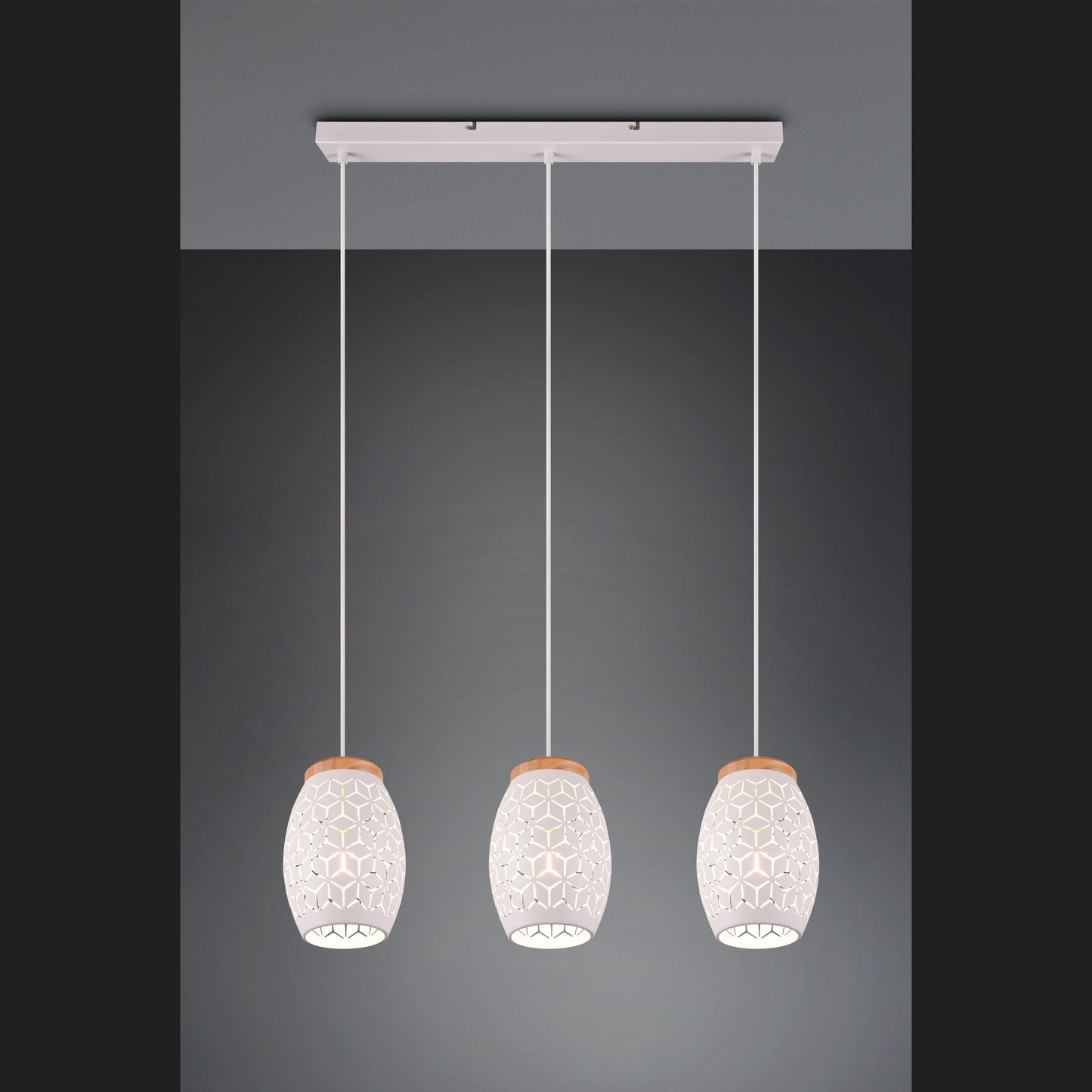 Bidar  - Pendant - White Matt - Reality