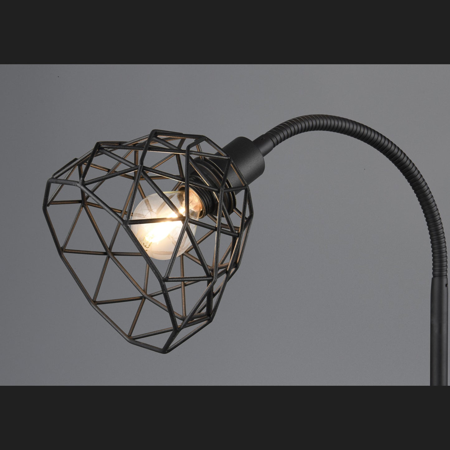 Haval  - Floor lamp - Black Matt - Reality
