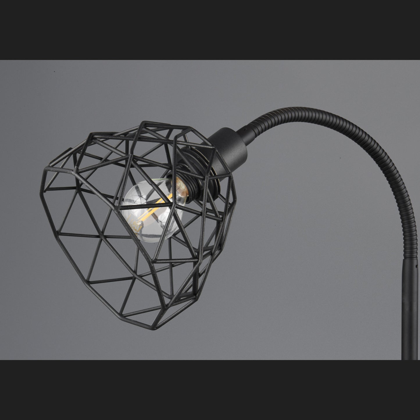 Haval  - Floor lamp - Black Matt - Reality