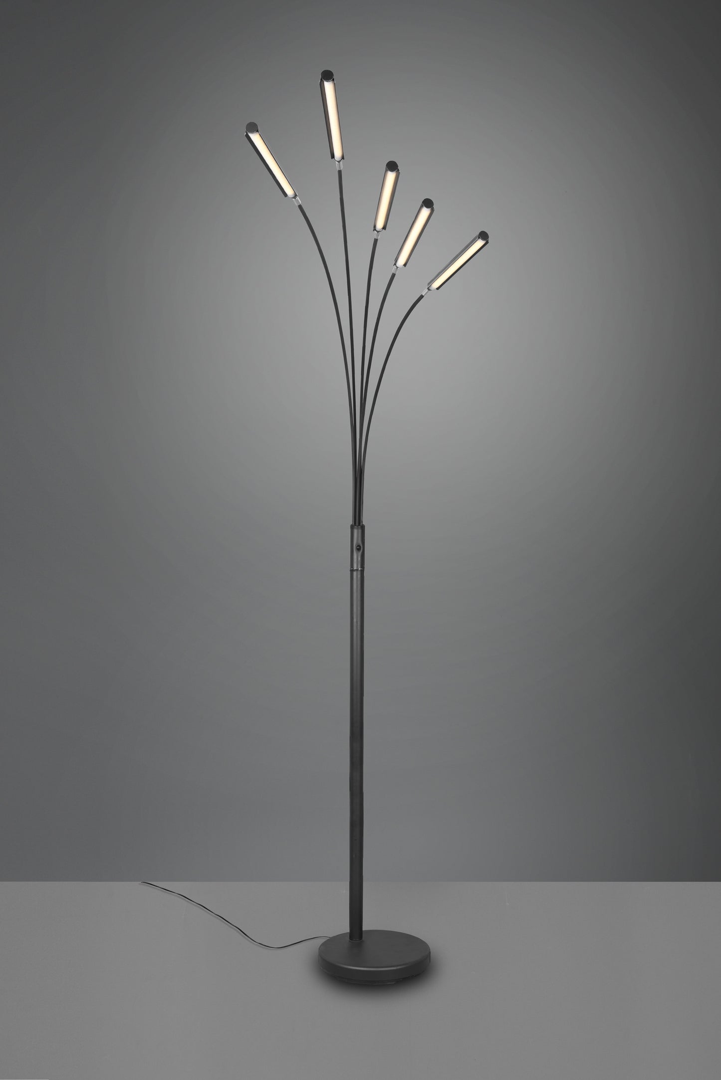 Reed  - Floor lamp - Black Matt - Reality