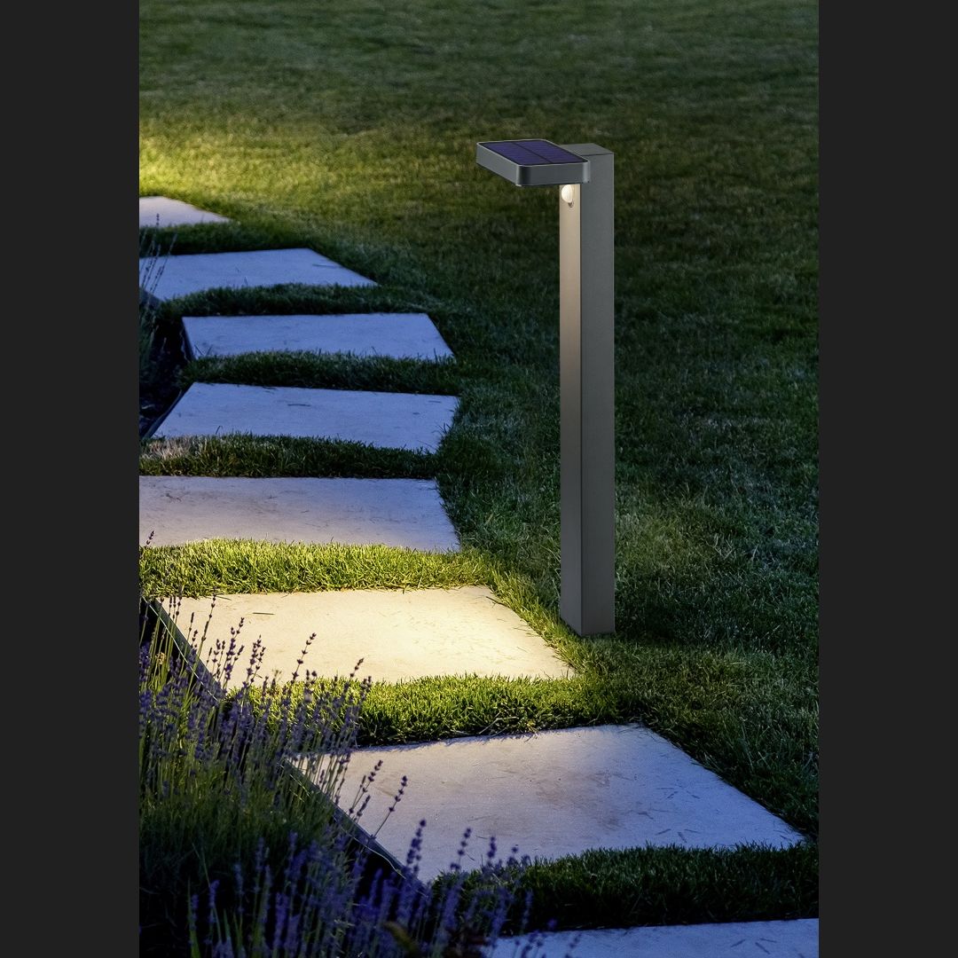 ESQUEL Pole - Anthracite