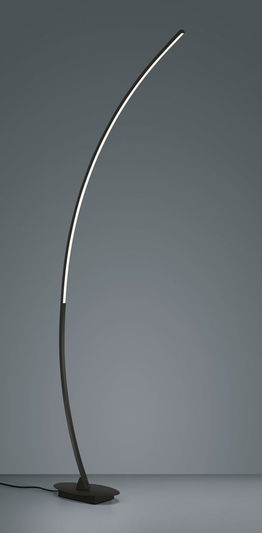 Solo  - Floor lamp - Black Matt - Reality