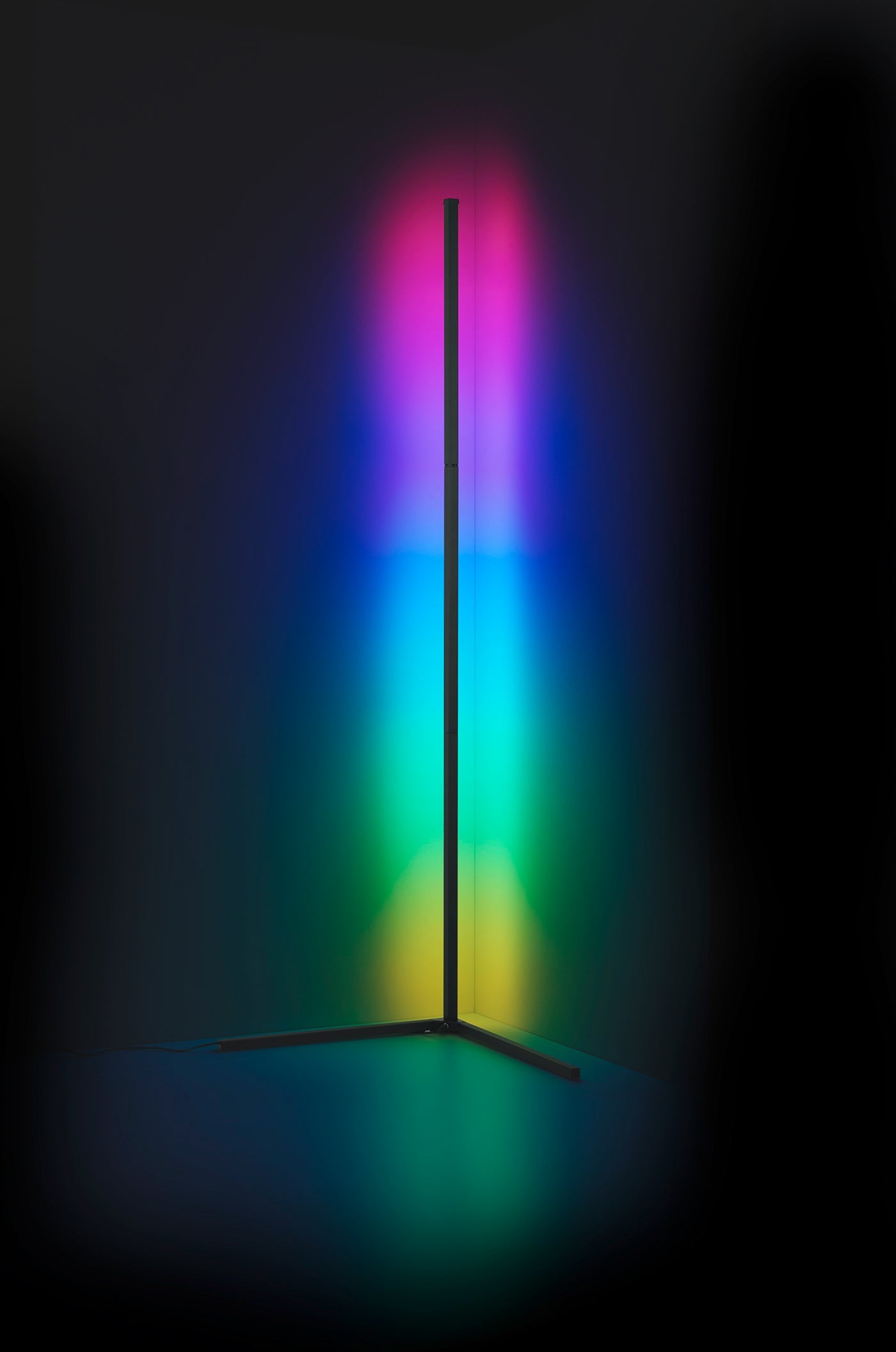 Level  - Floor lamp - Black - Reality