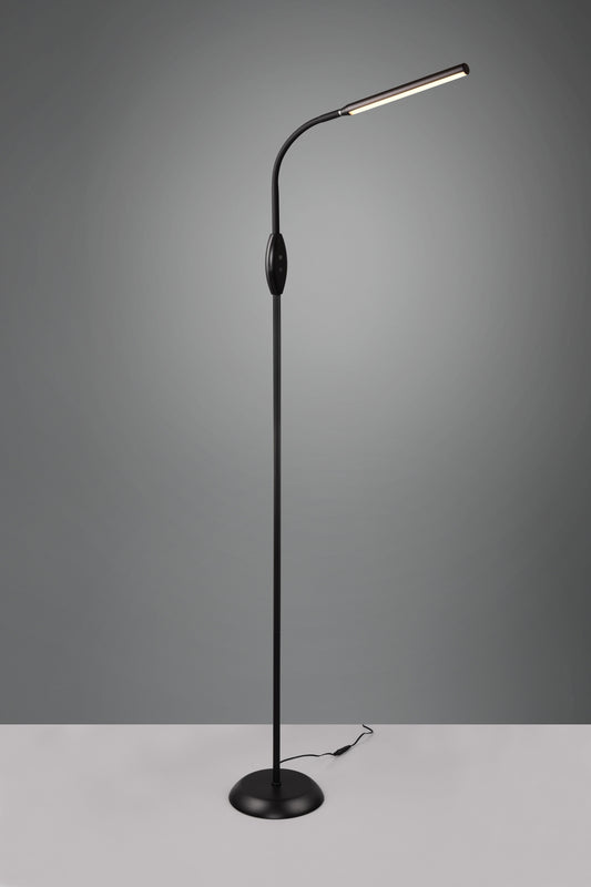 Toro  - Floor lamp - Black - Reality