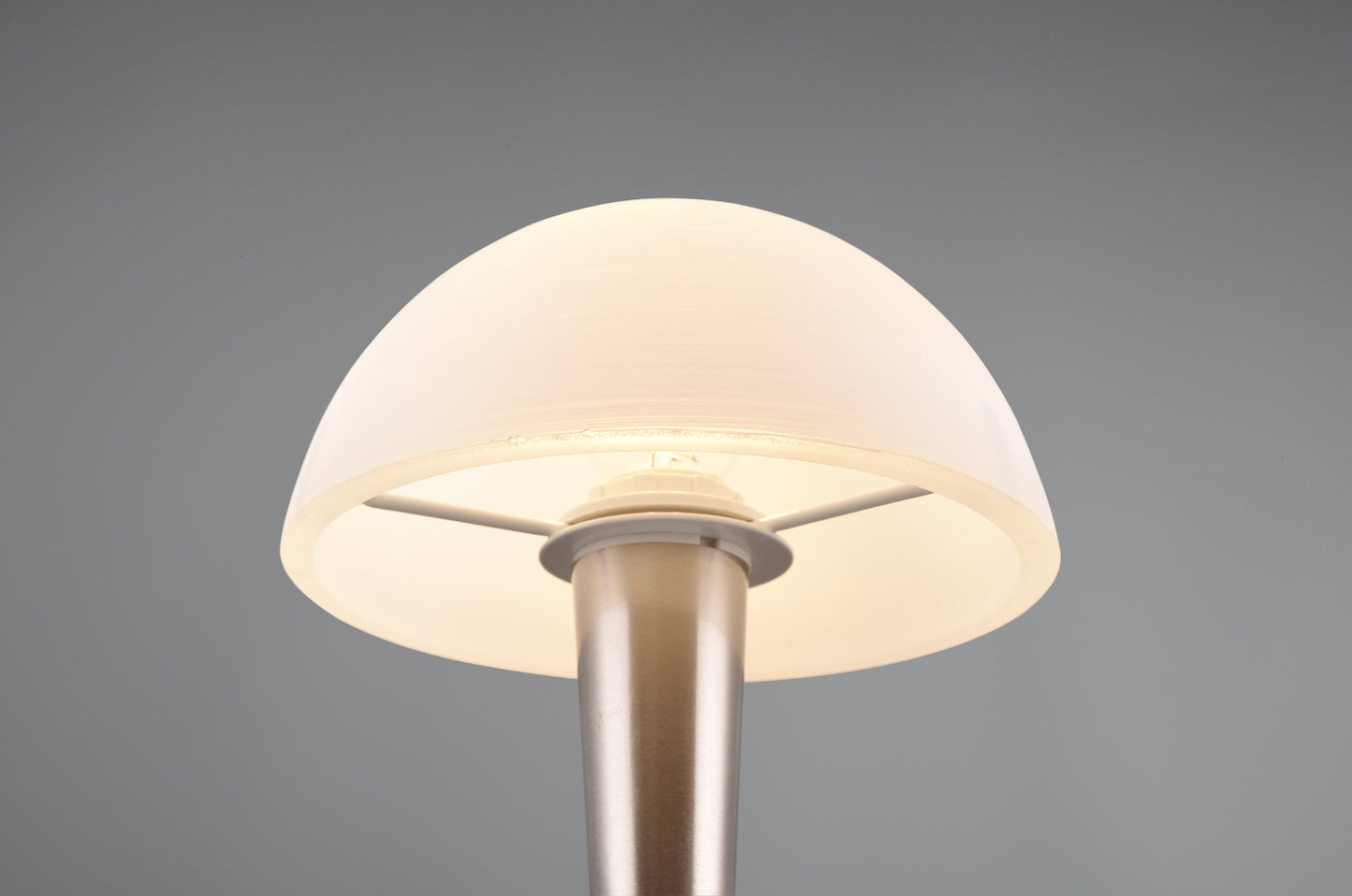 Canaria  - Table lamp - White Brushed - Reality