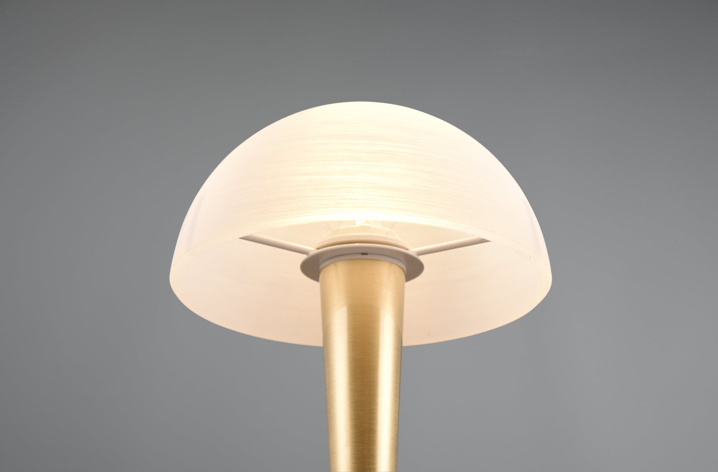 Canaria  - Table lamp - White Brushed - Reality