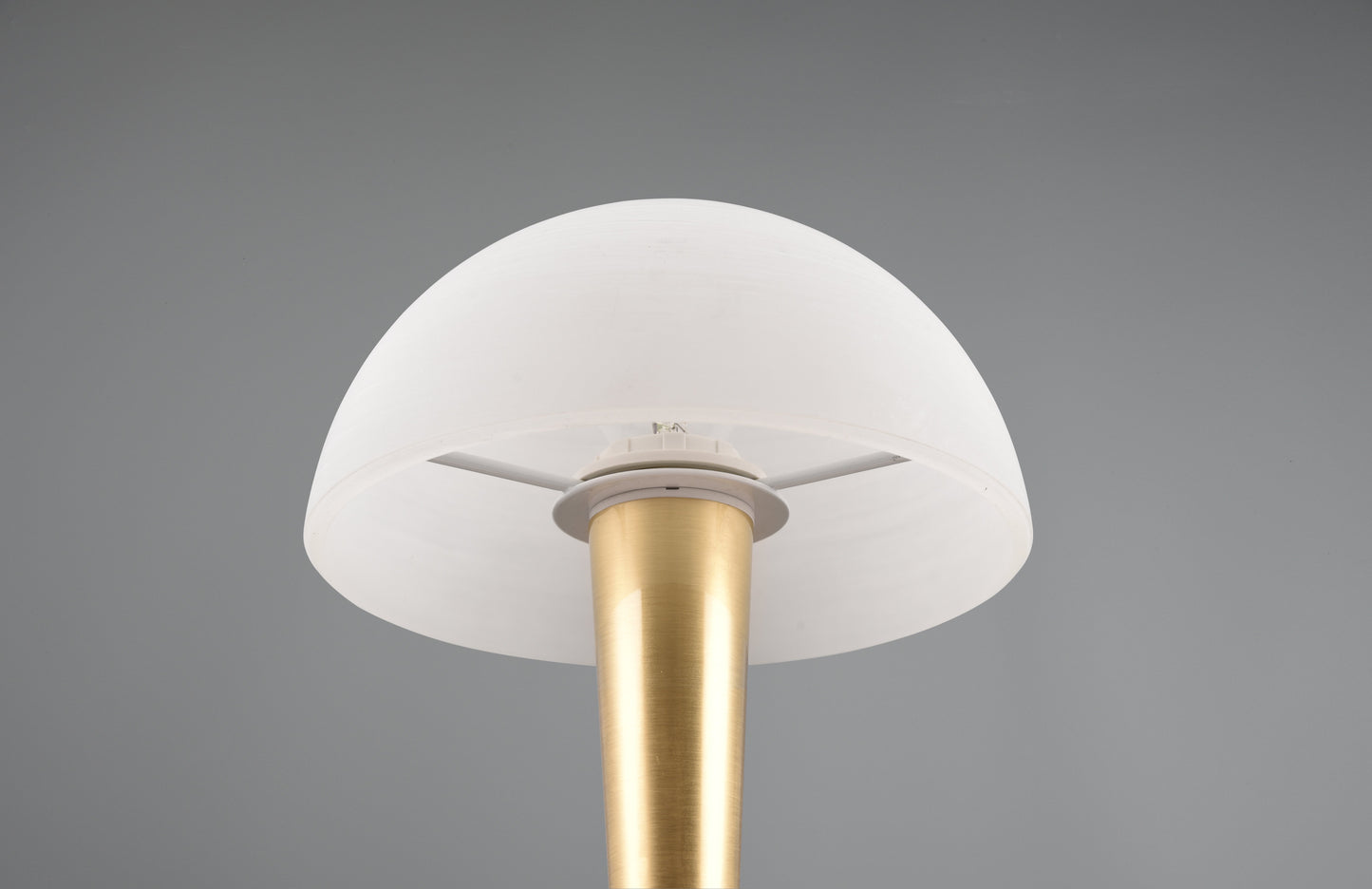 Canaria  - Table lamp - White Brushed - Reality