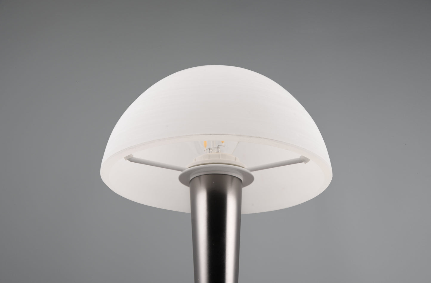 Canaria  - Table lamp - White Brushed - Reality