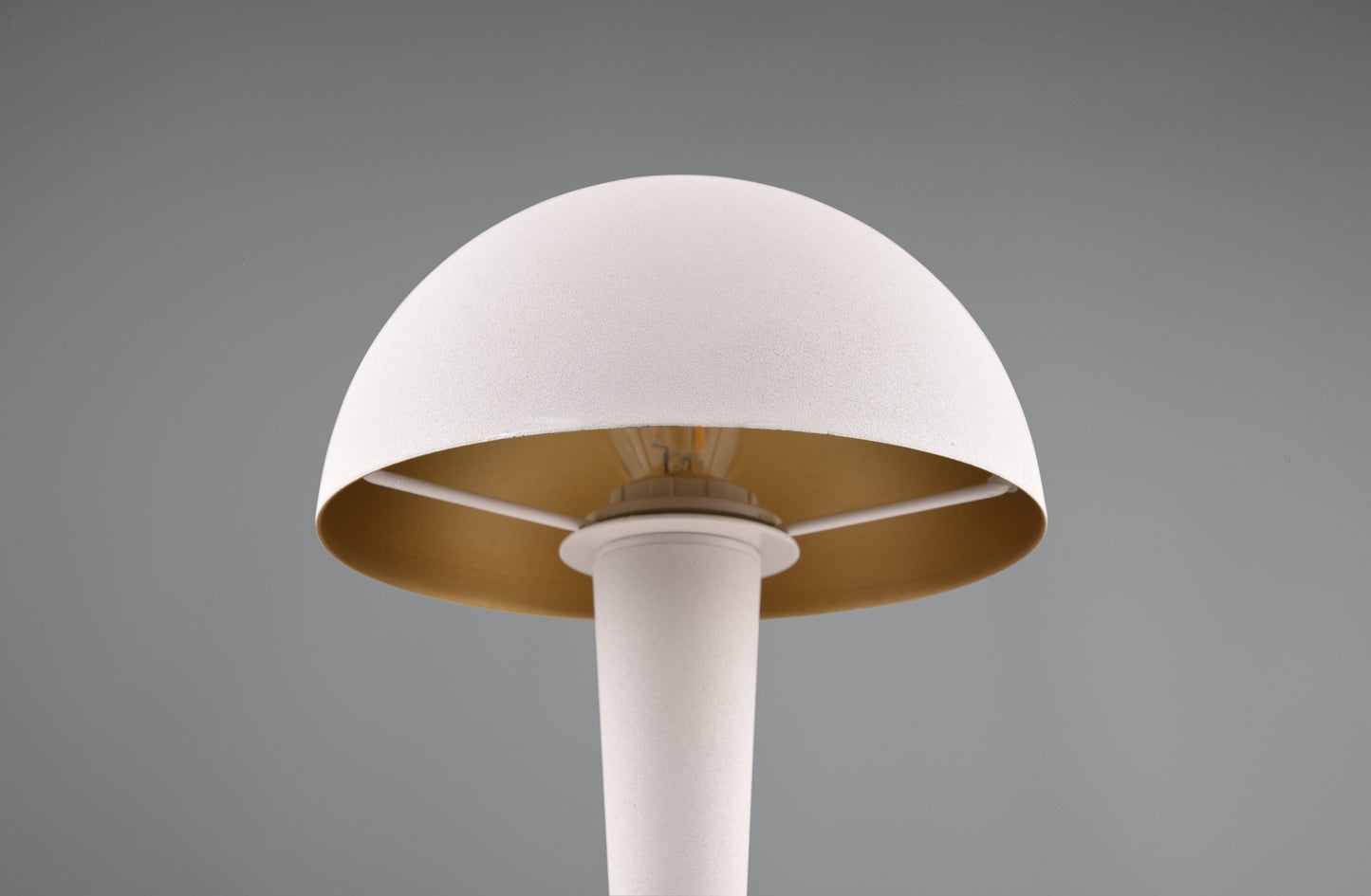 Canaria  - Table lamp - White Brushed - Reality