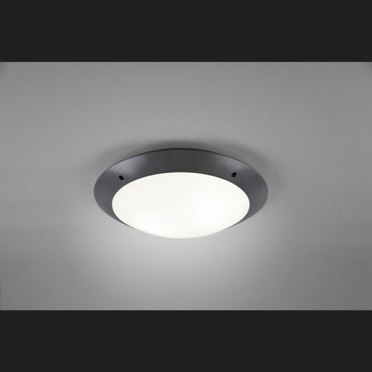 CAMARO Ceiling lamp (B) - Anthracite