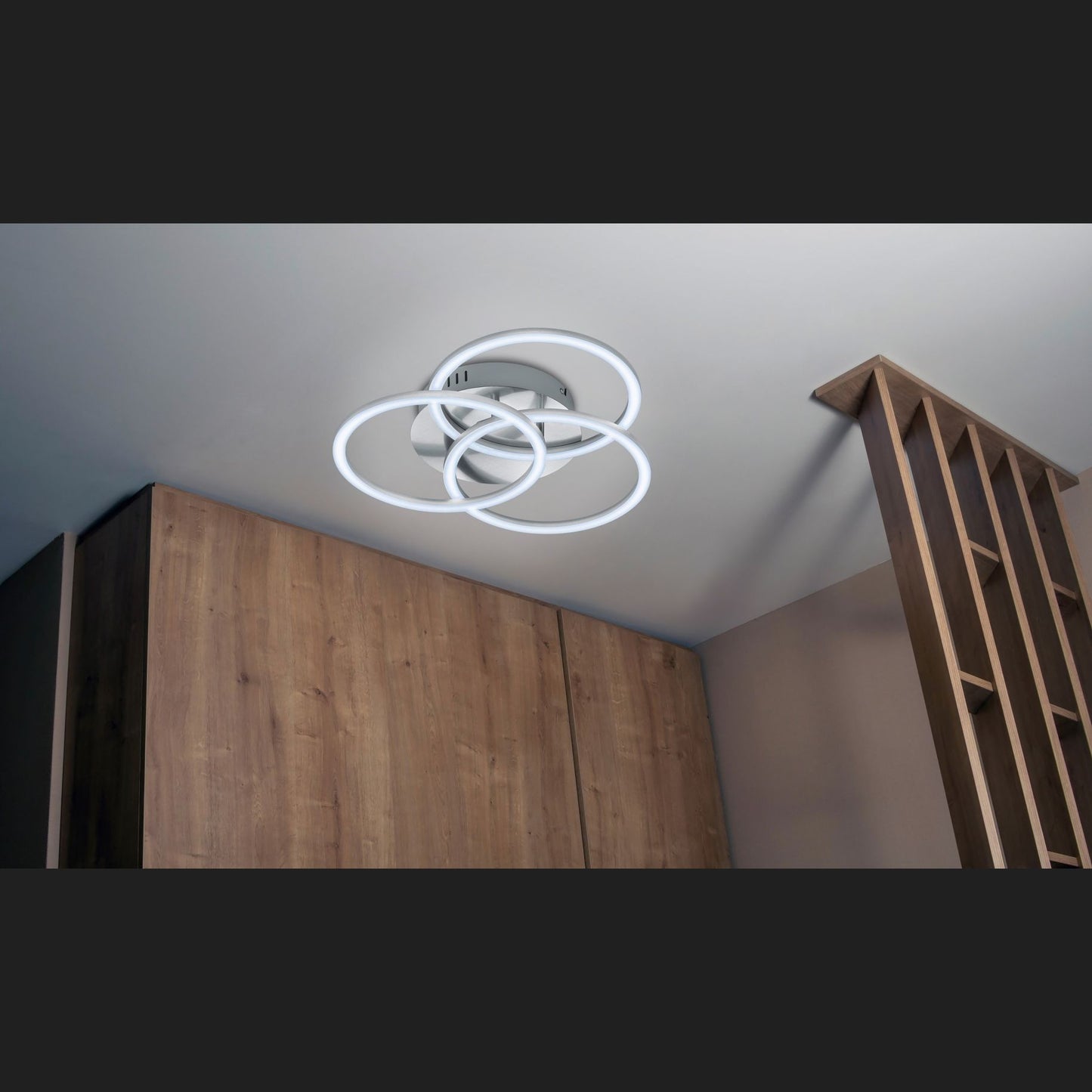 Circle  - Ceiling lamp - Nickel Matt - Reality