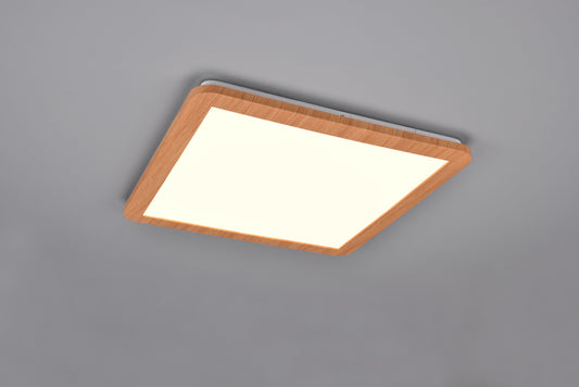 Camillus  - Ceiling lamp - White - Reality